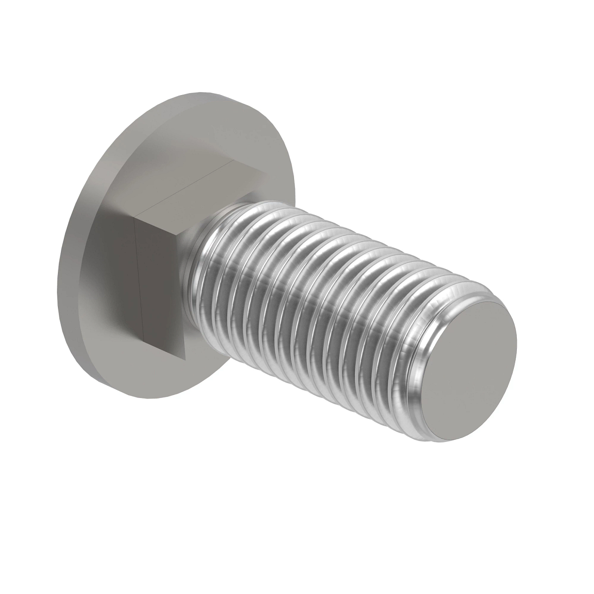 BOLT, ROUND HEAD SQUARE NECK