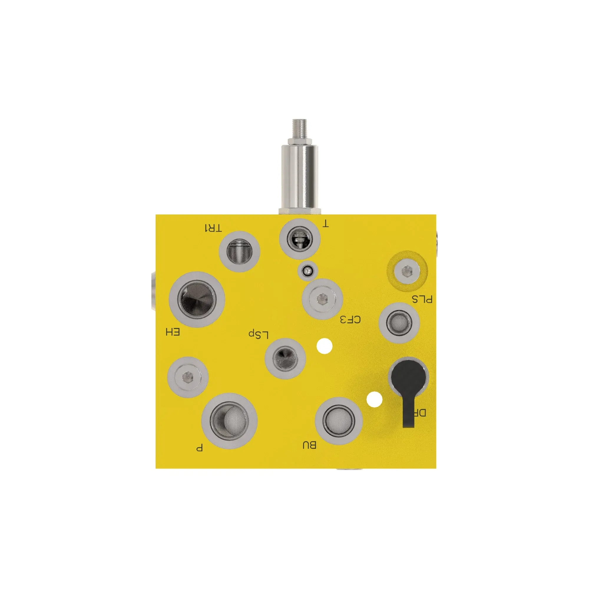 Manifold