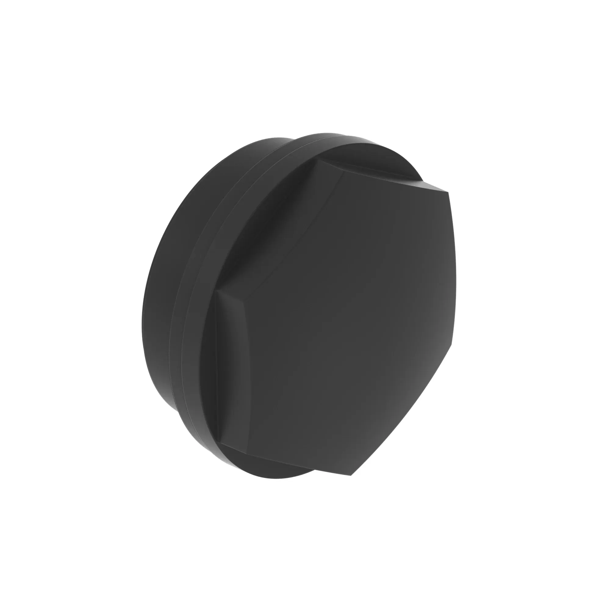 Sight Plug