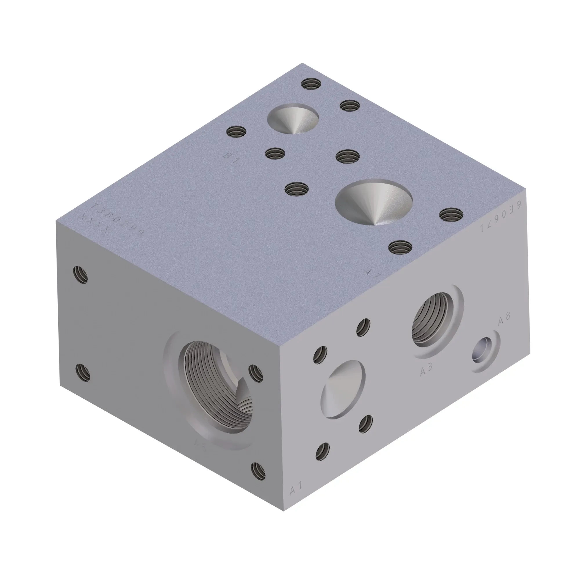 Manifold