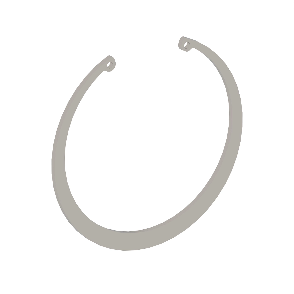 Ring, Internal Snap