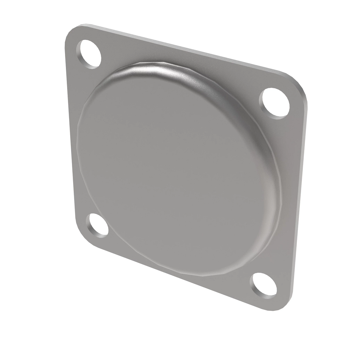 Plate, Cover SAE B