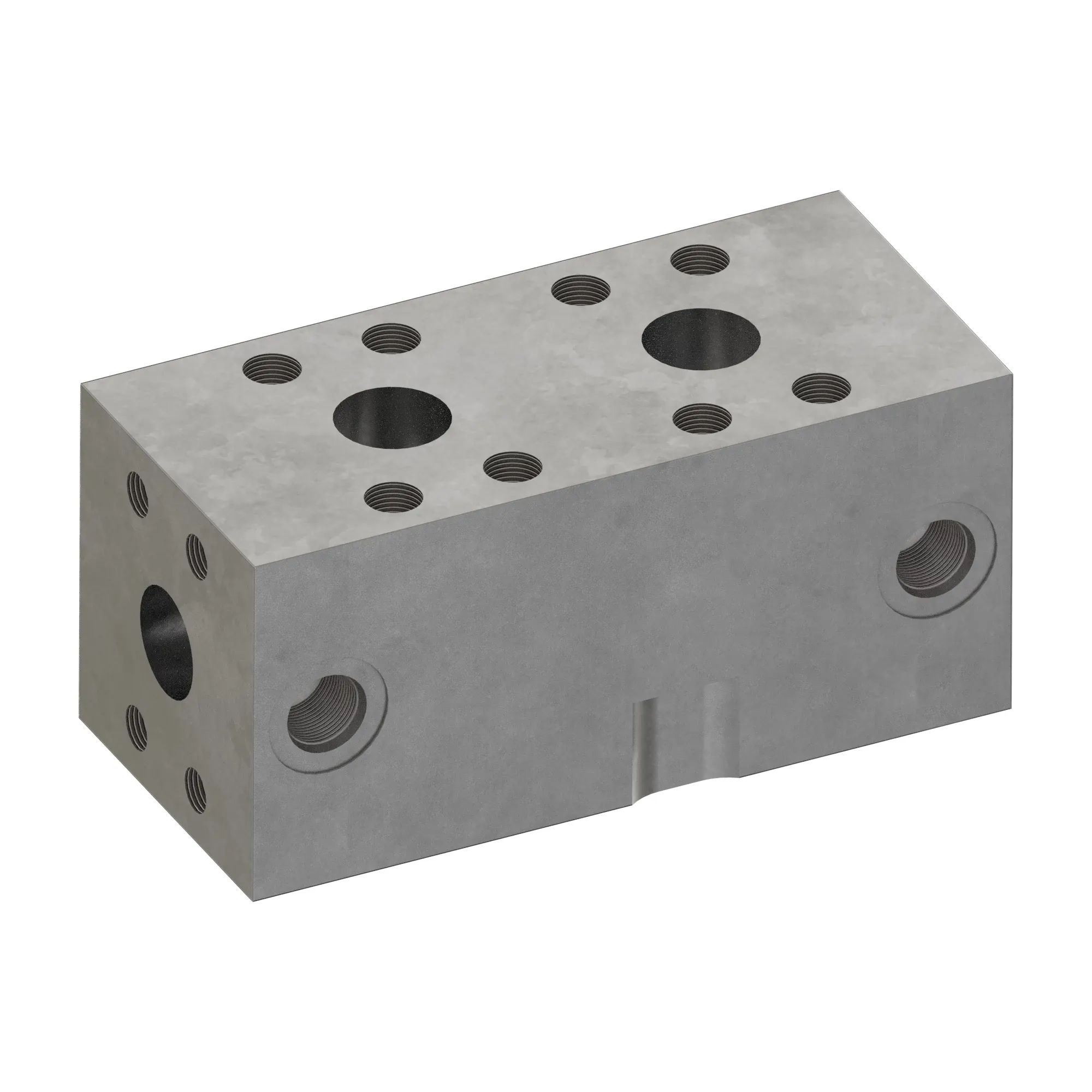 Manifold