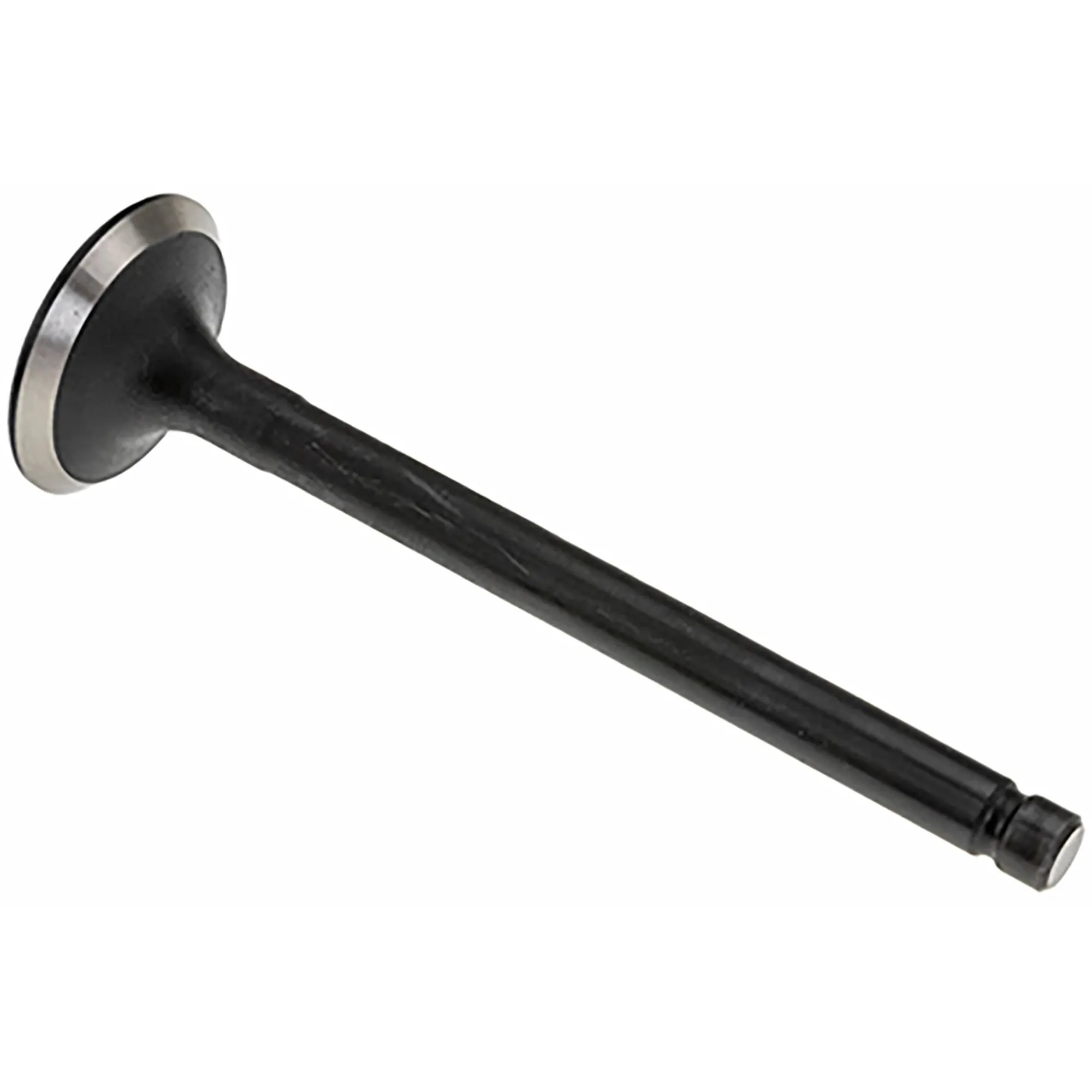 Exhaust Valve