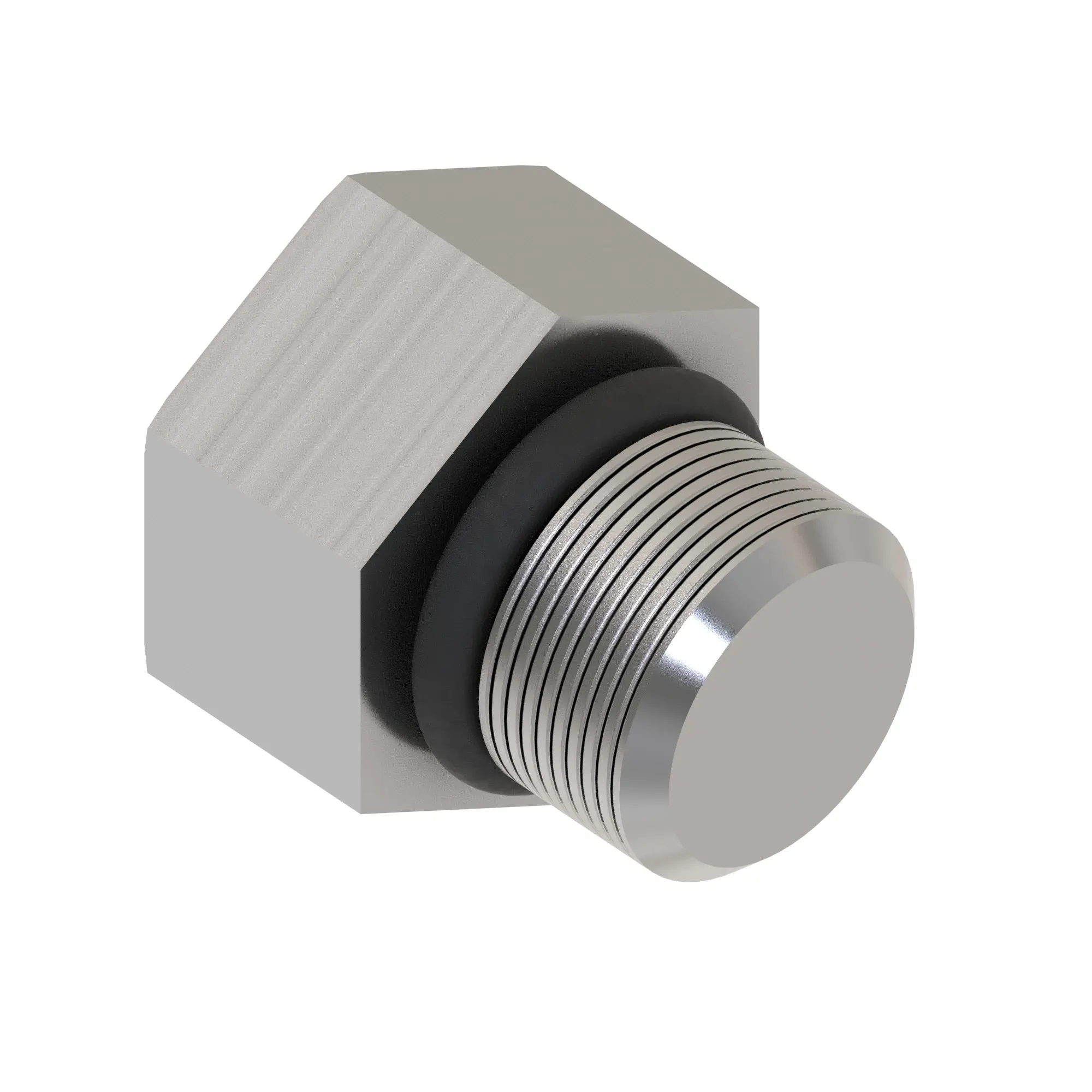 Fitting Plug