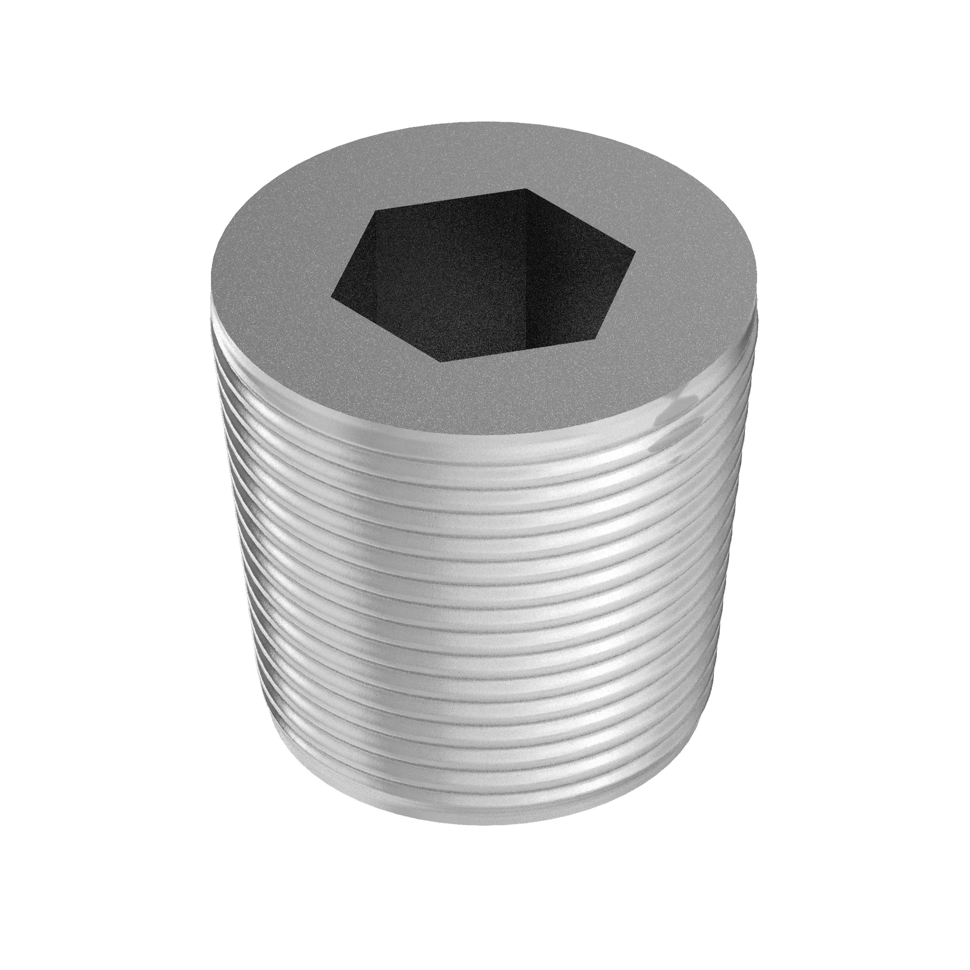 Pipe Plug