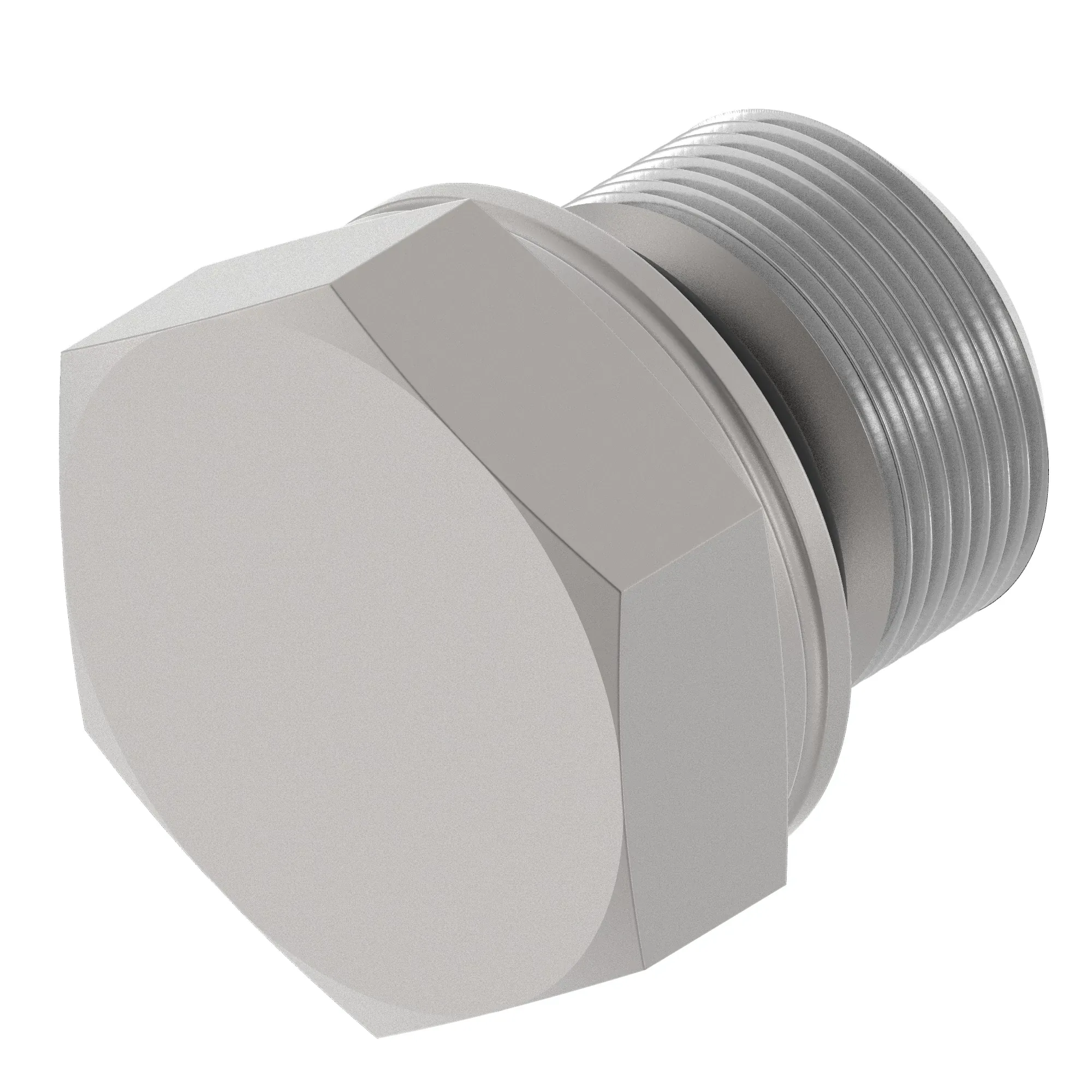 Fitting Plug, External Hex- M