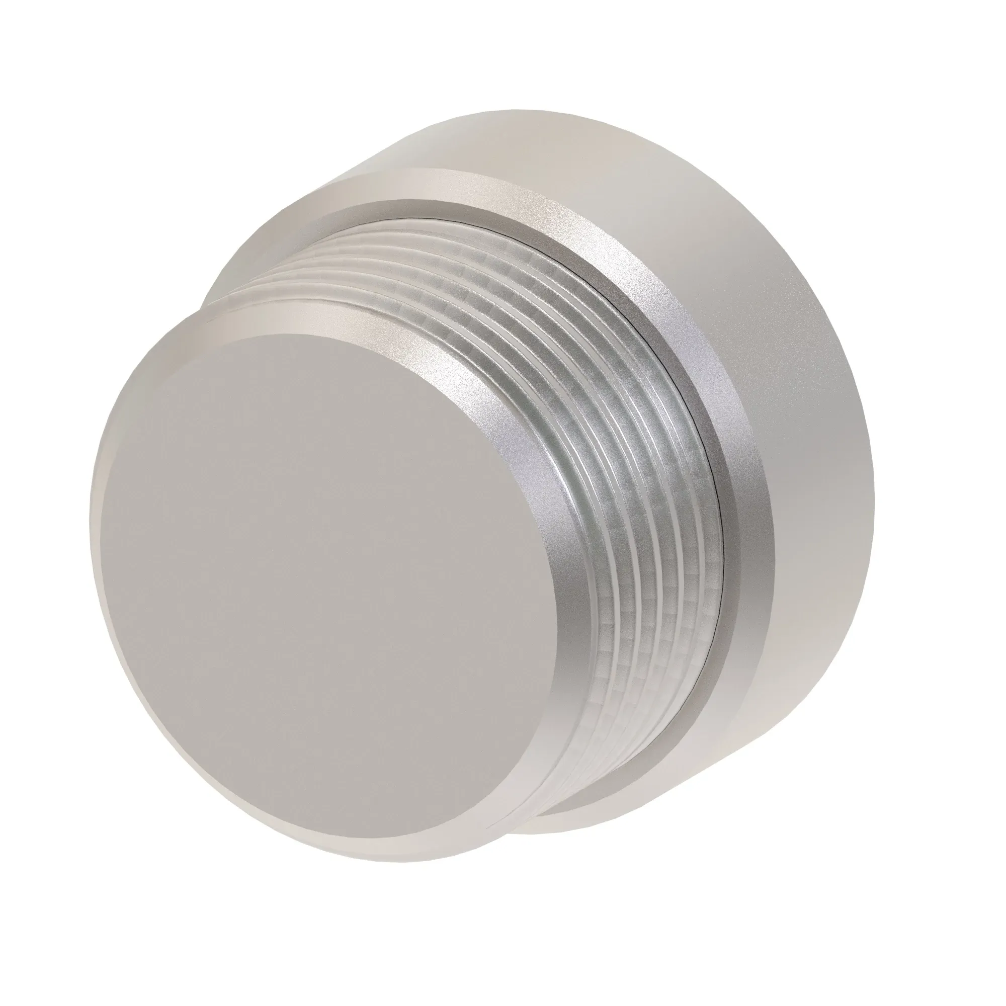 Check Valve