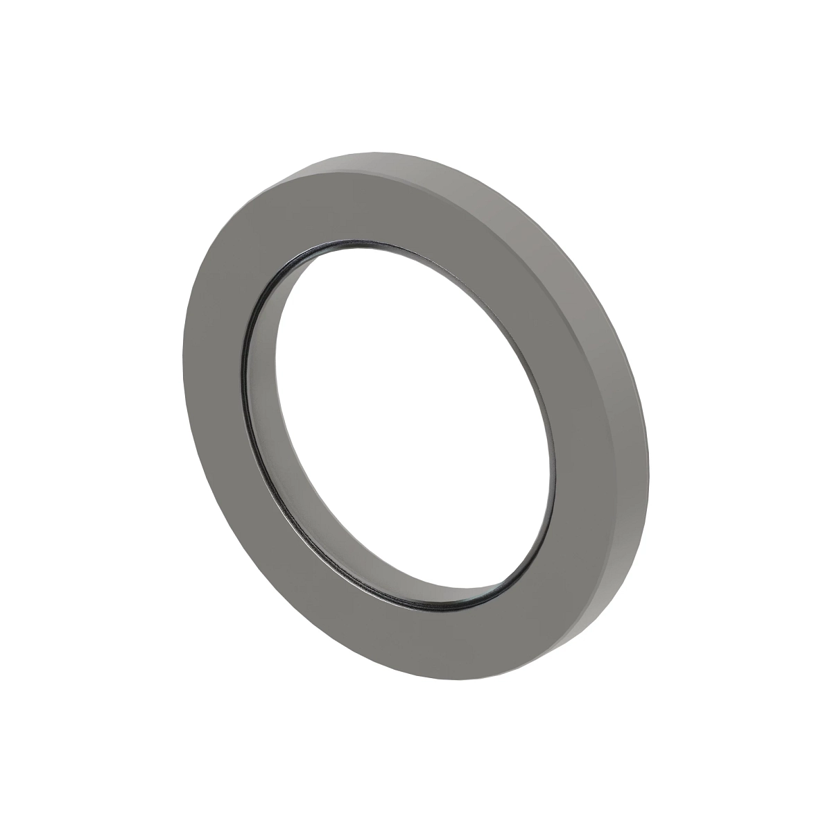 Oil Seal