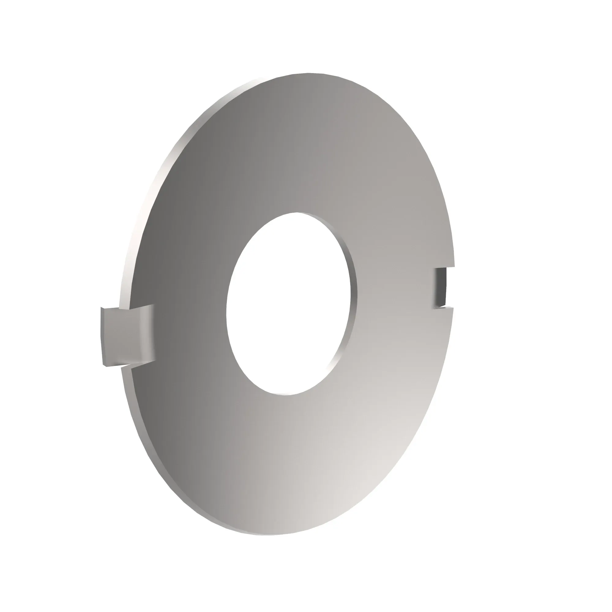Thrust Washer