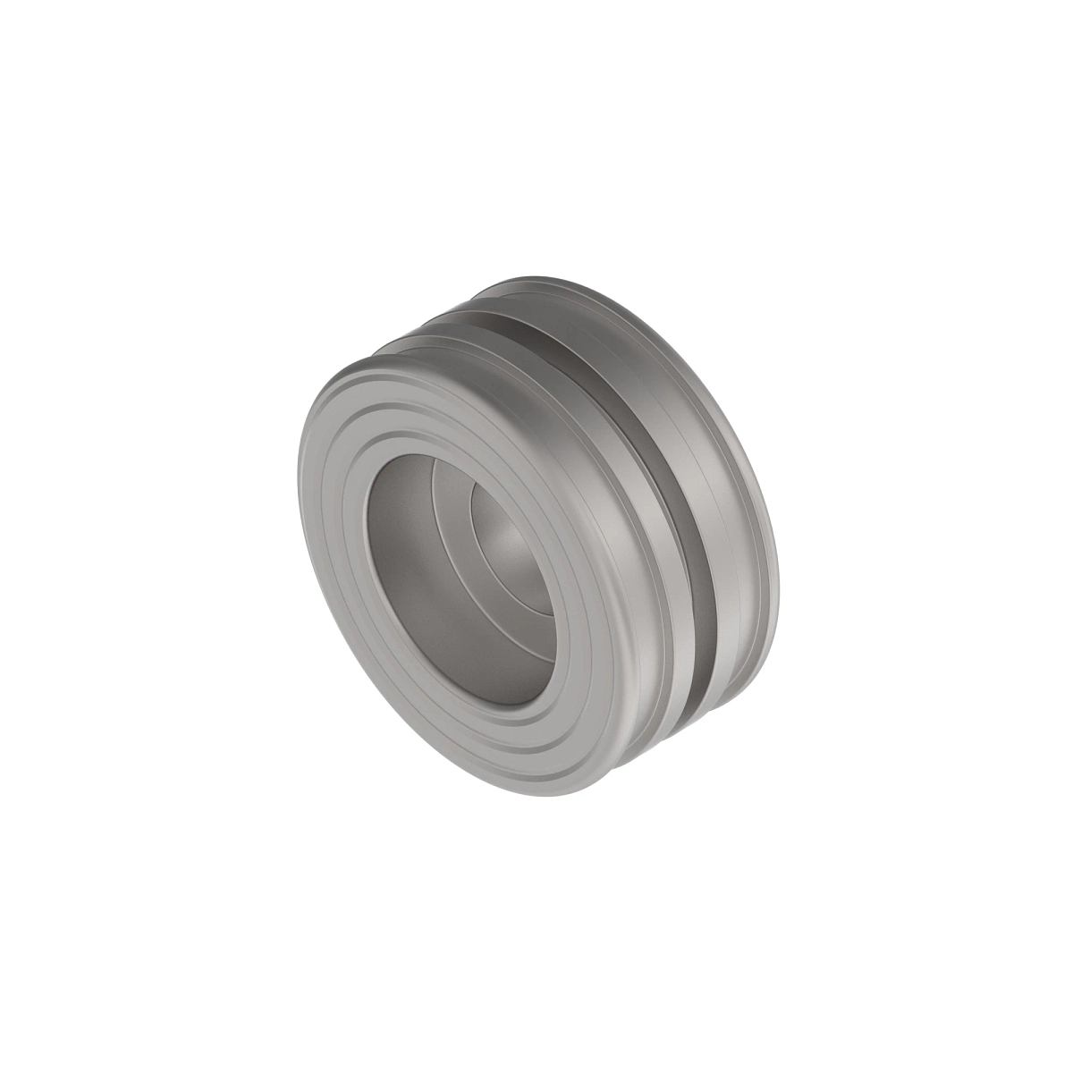 Piston, 100 X 56 X M33 2 Pc Seal