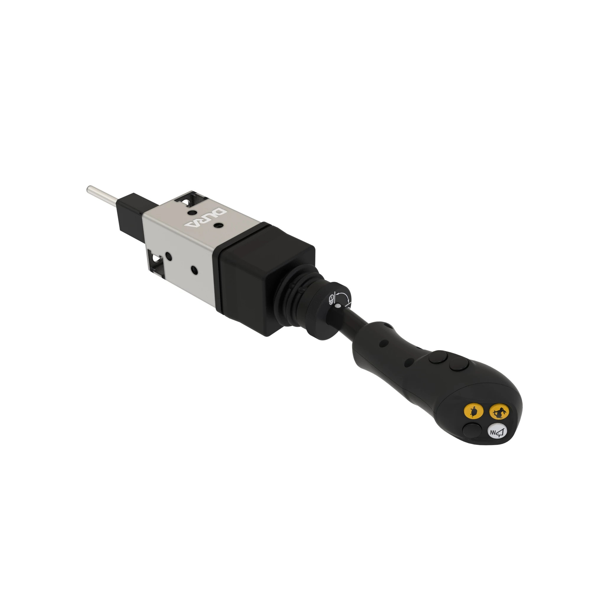 6M mICV, 2 FC.+DIV/MEMO/LSS+GSS