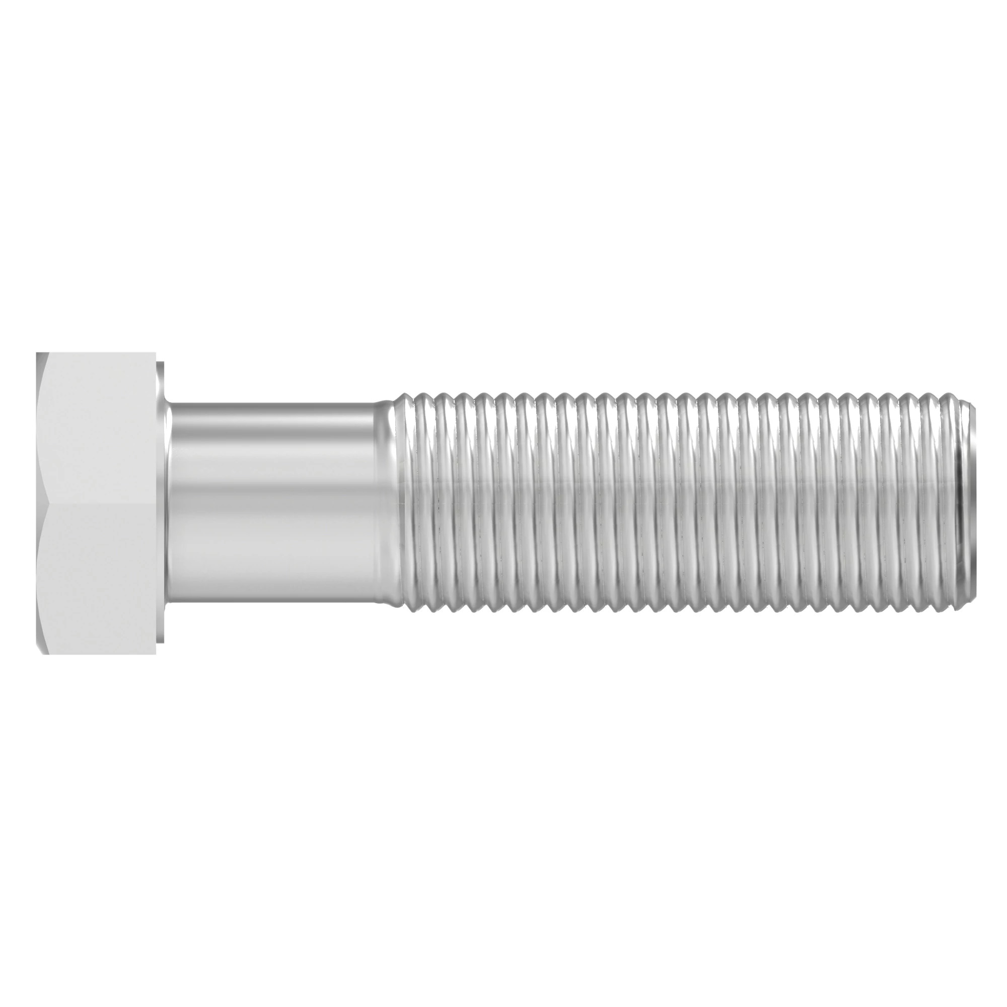 Cap Screw