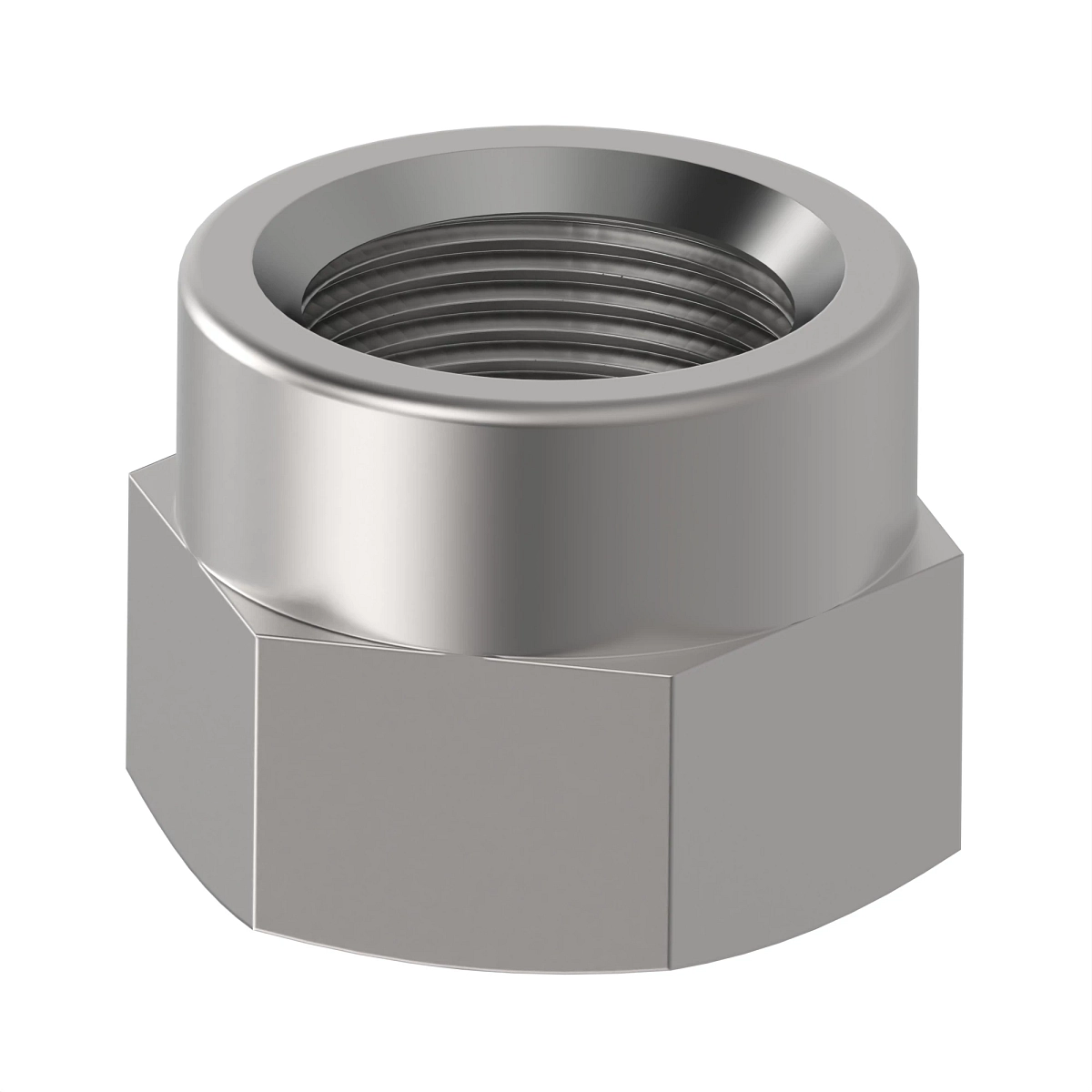 Nut, Metric, Hex Prevailing Torque