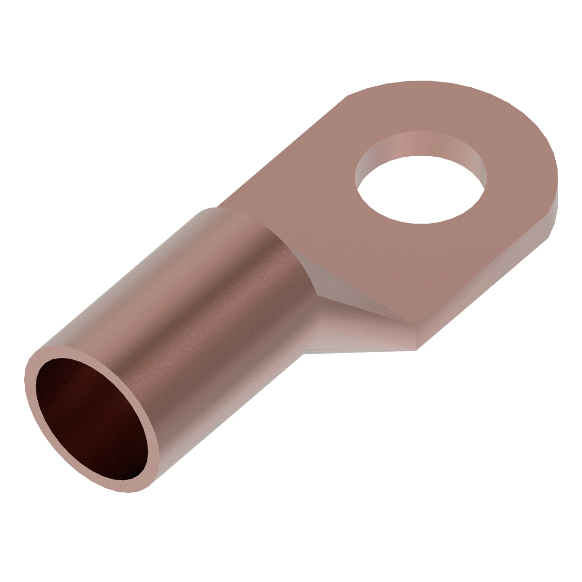Term Molex Ring M10