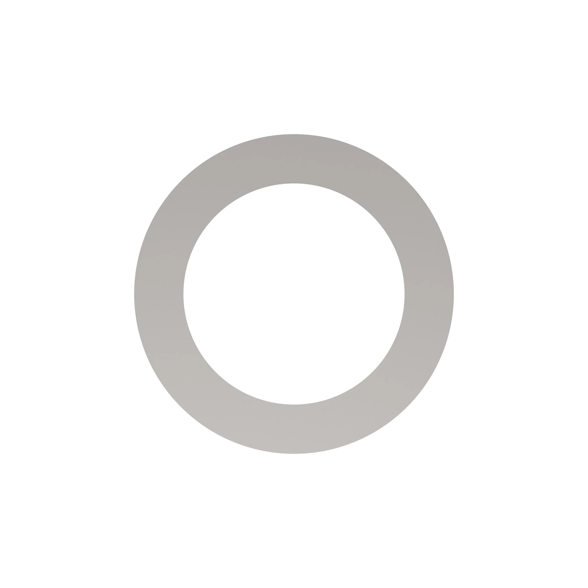 J257220: Spring Washer