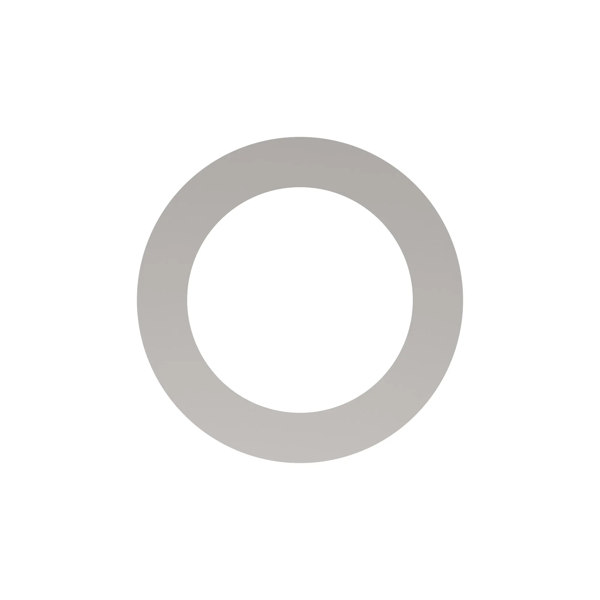 J257220: Spring Washer