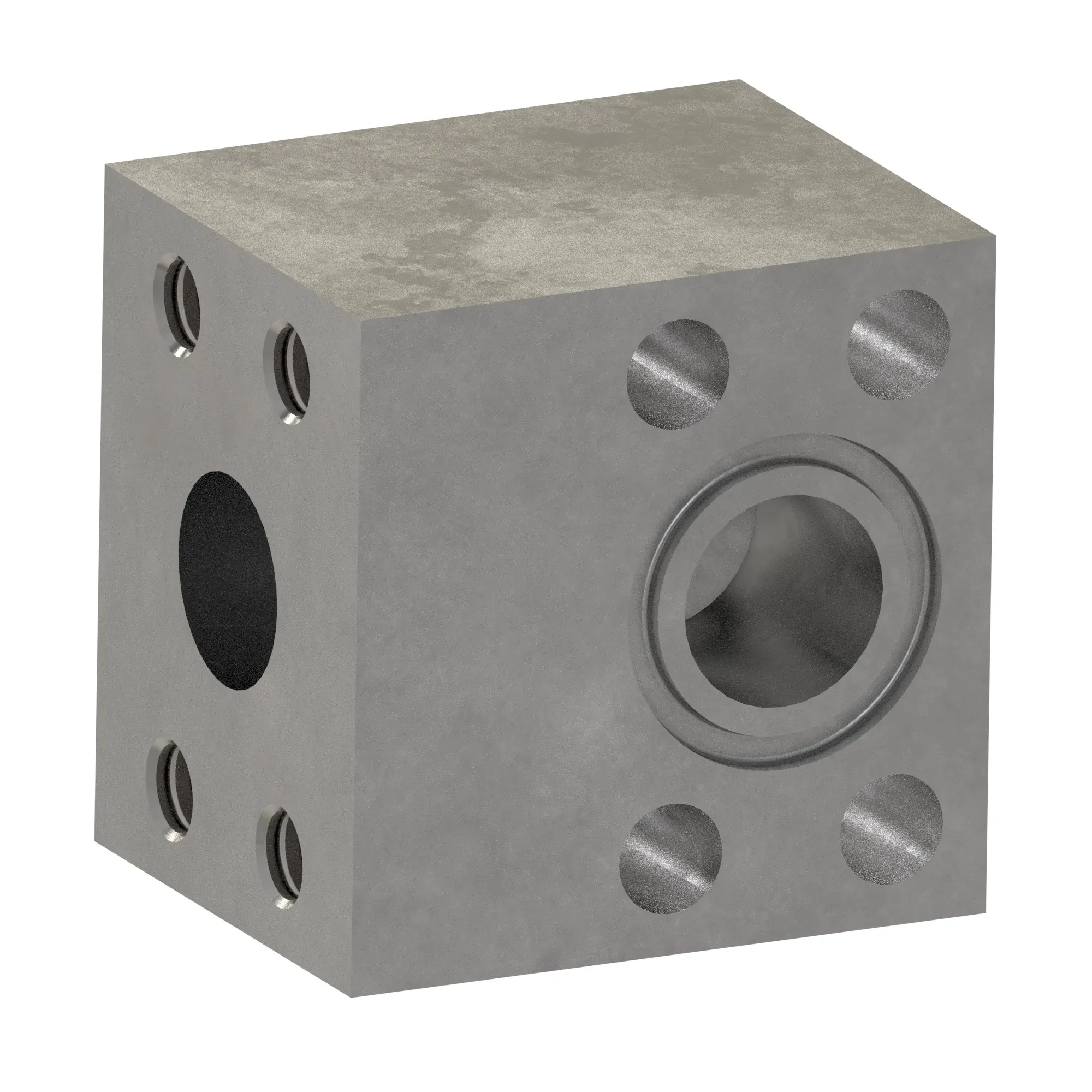 Manifold