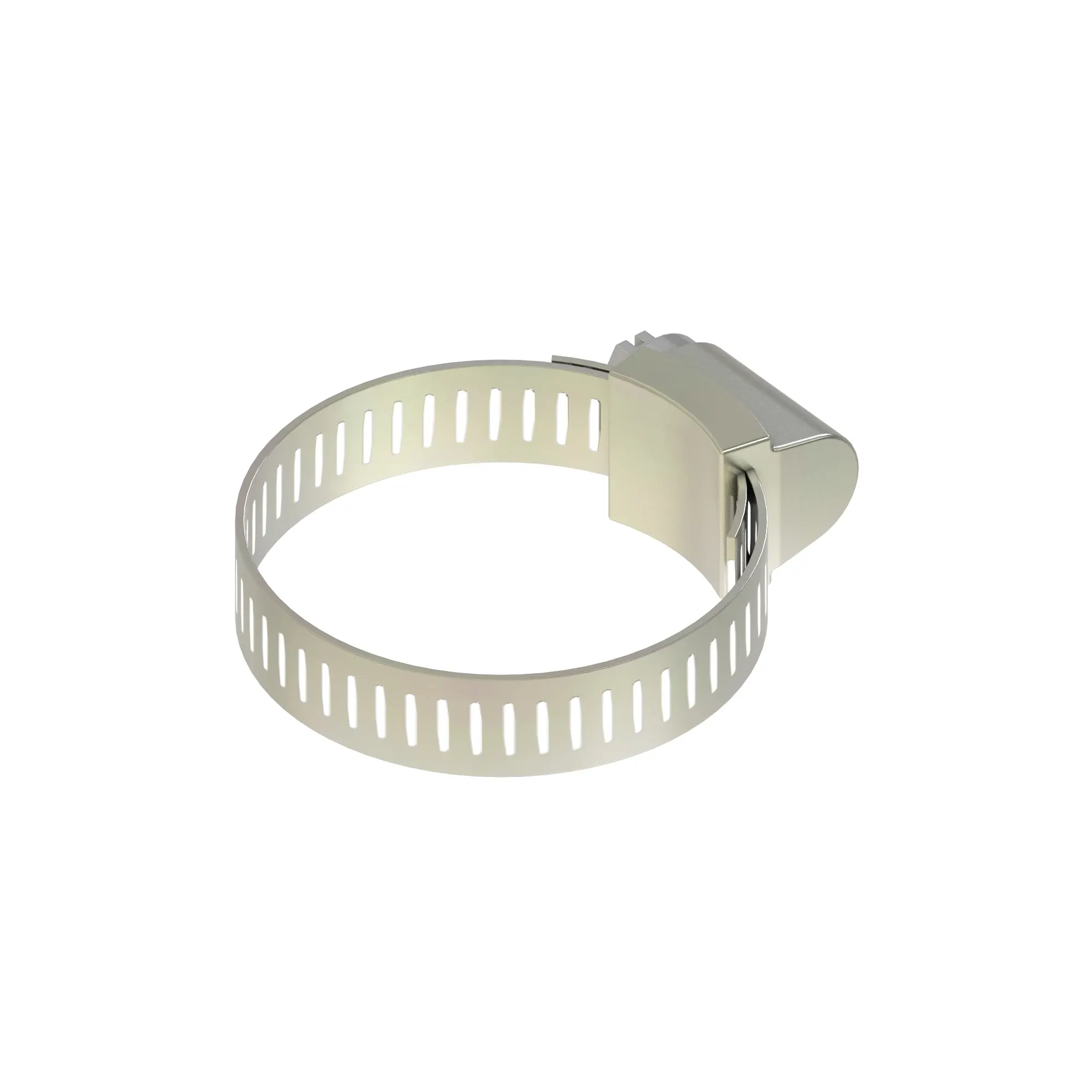 Hose Clamp