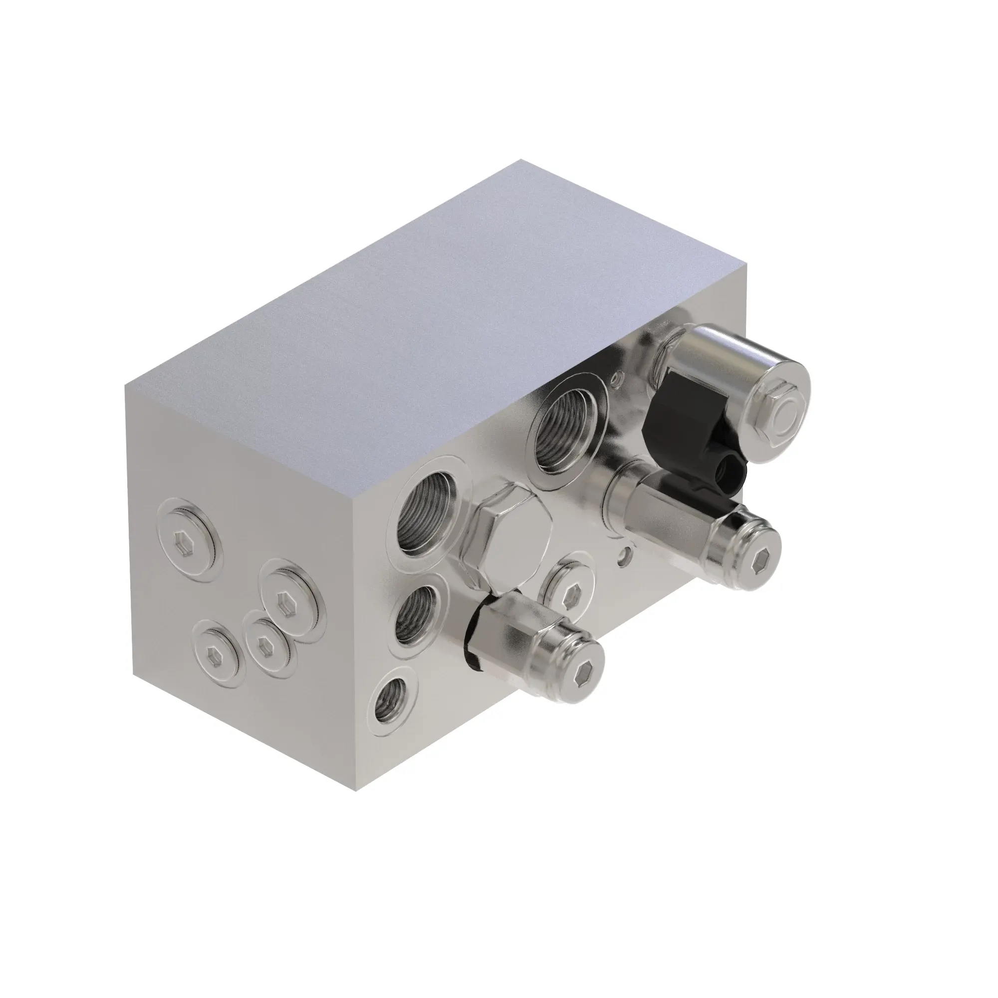 Manifold
