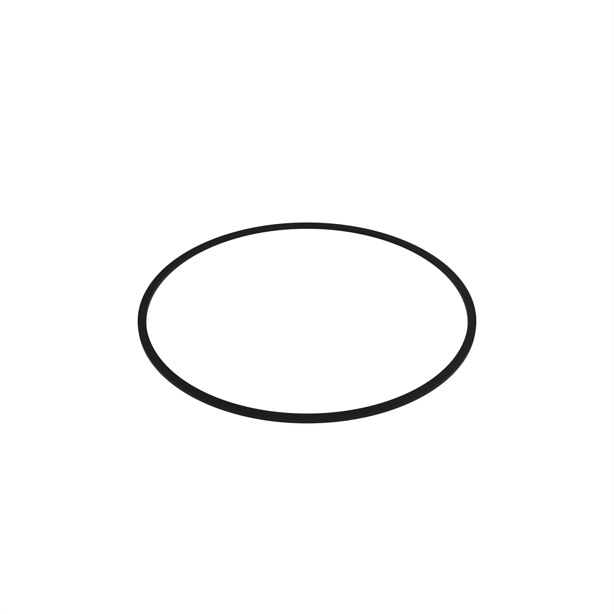 Seal, Piston OD