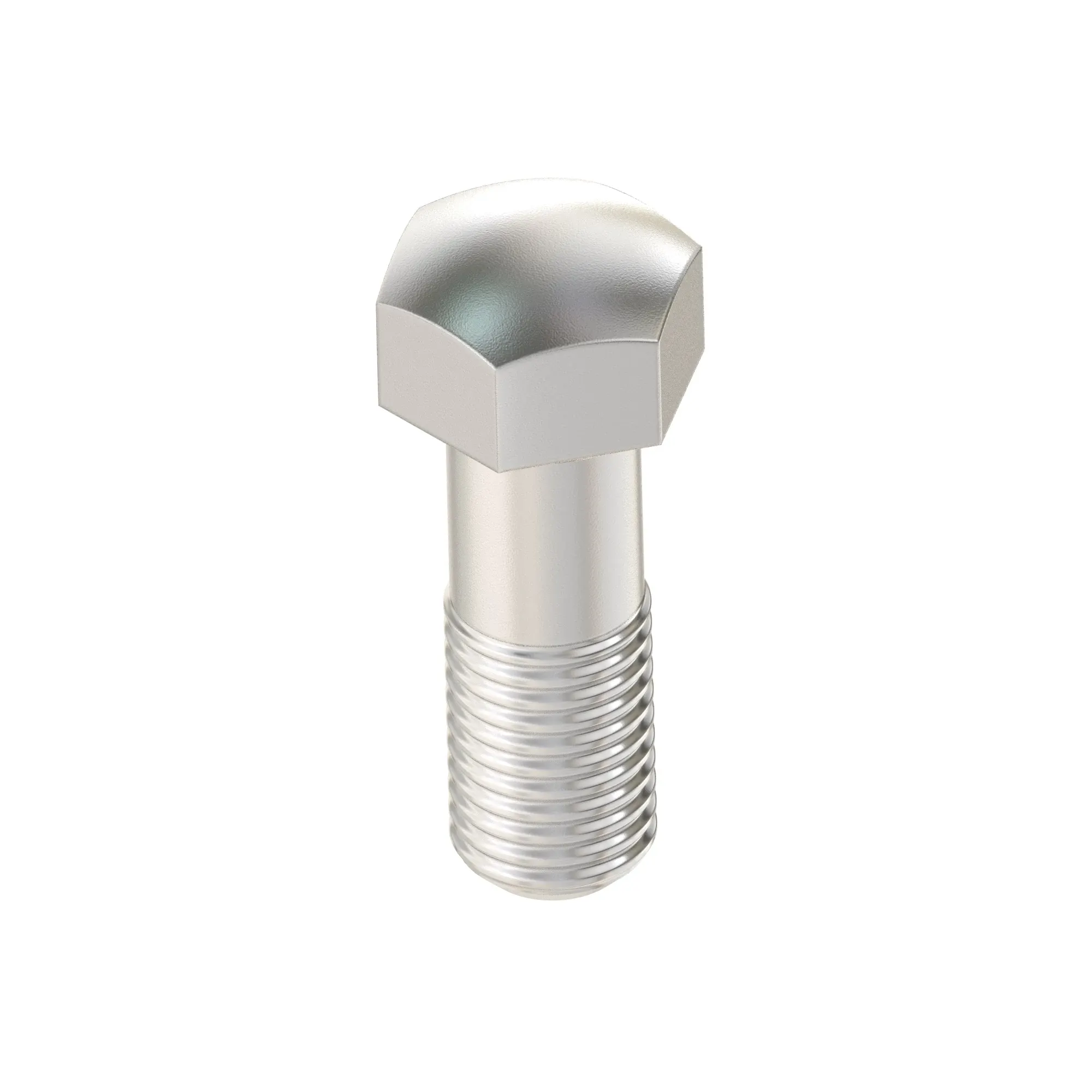 Track Bolt