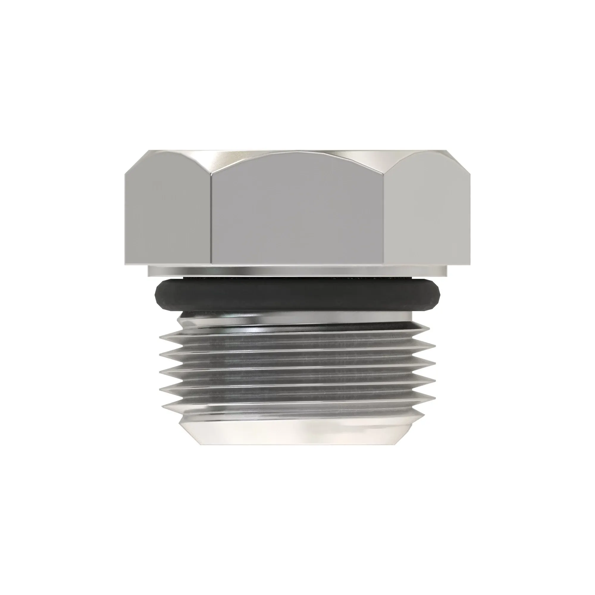 Fitting Plug