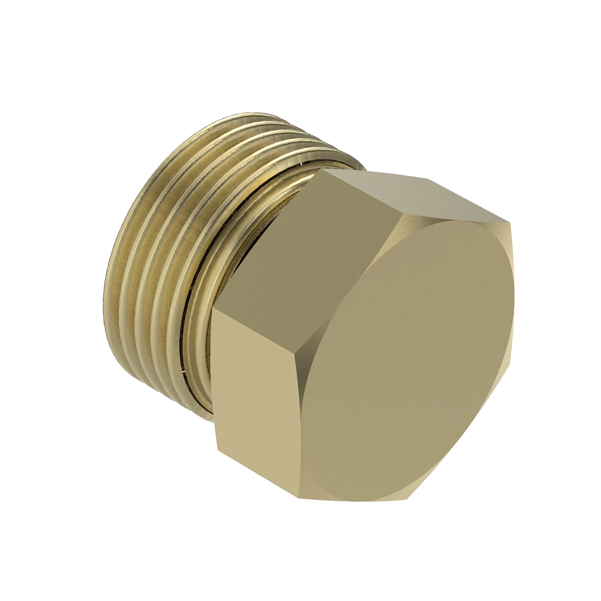 Plug, O-Ring FSF