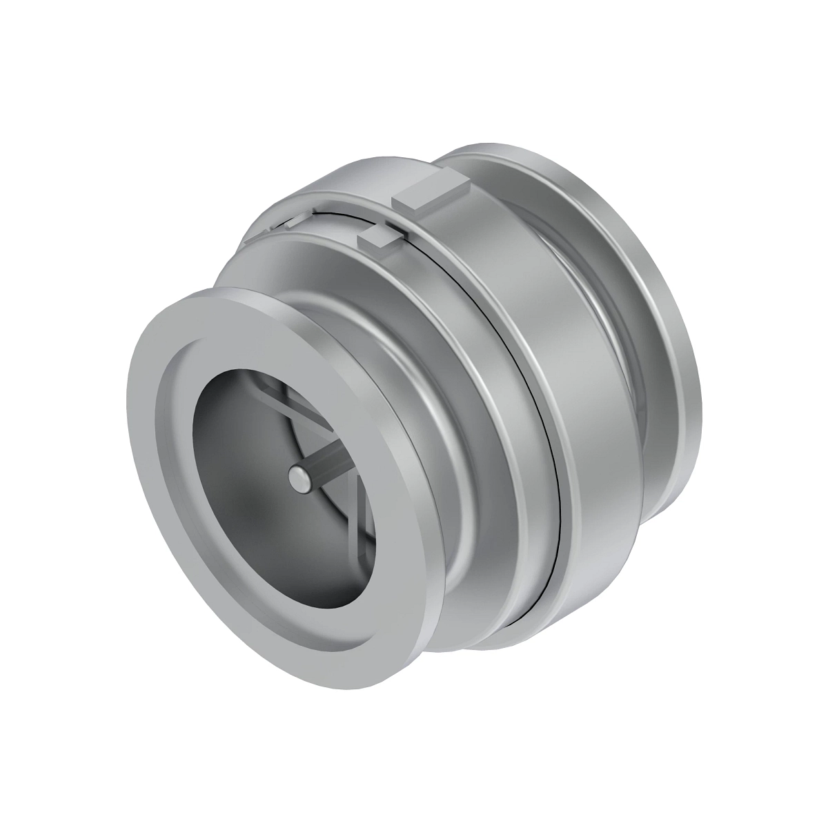 Check Valve, 2" Flange