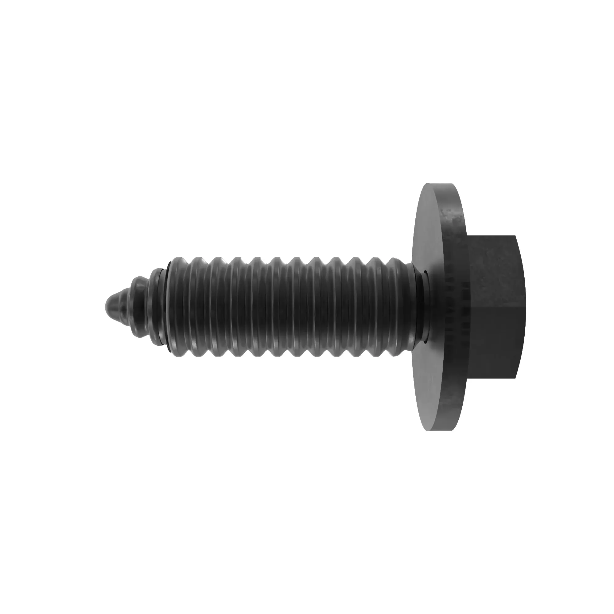 Screw With Washer