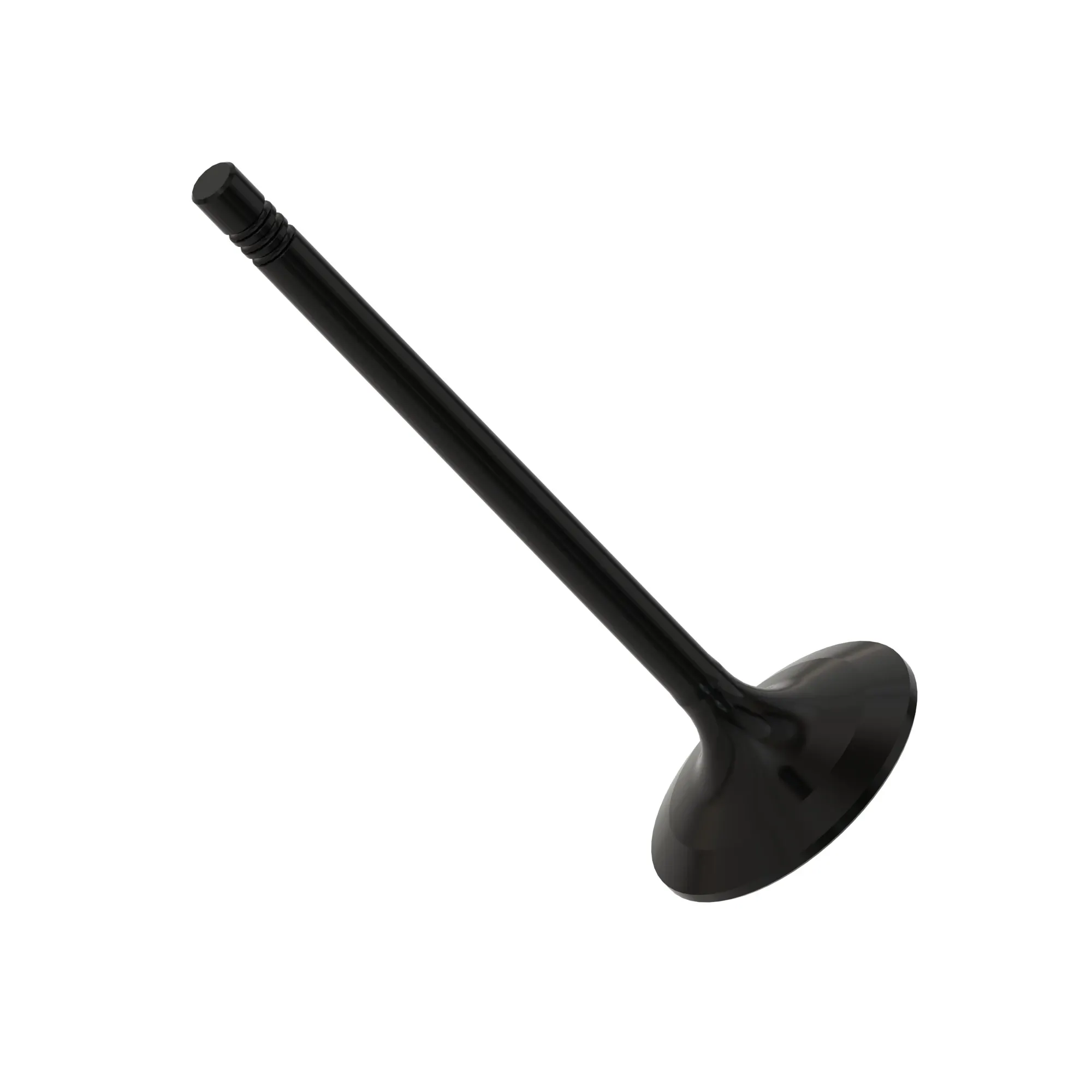 Intake Valve
