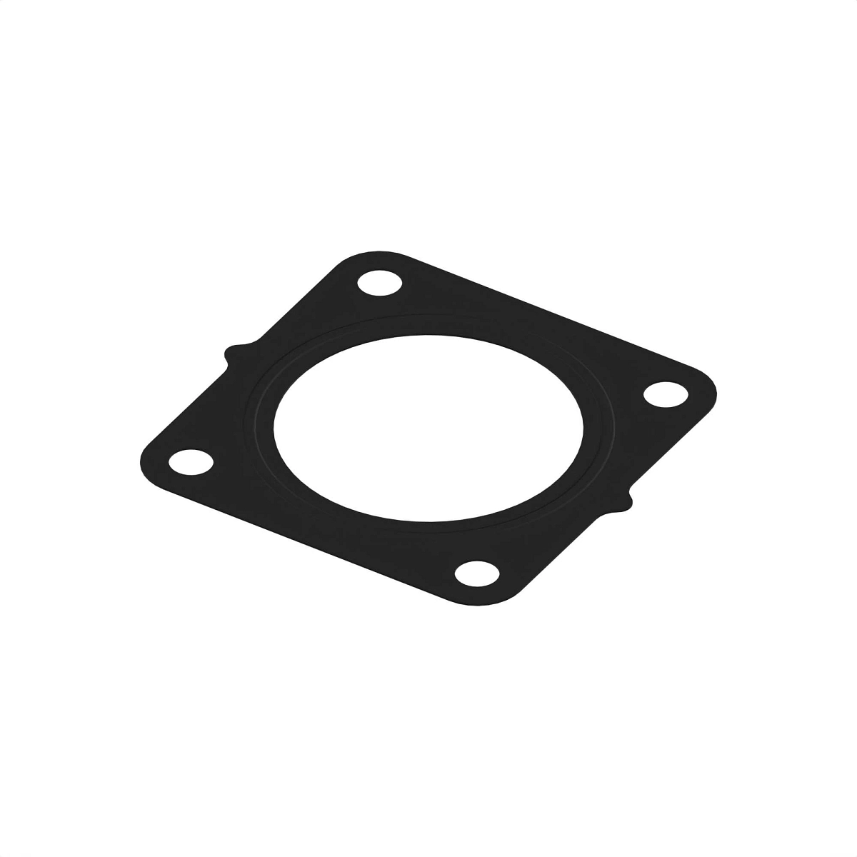Gasket, EGR