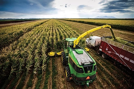 Overhead view of a forage harvester cutting corn and blowing chopped material through the yellow spout into a wagon traveling beside it in a large field