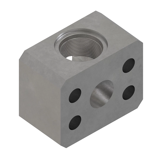 Manifold