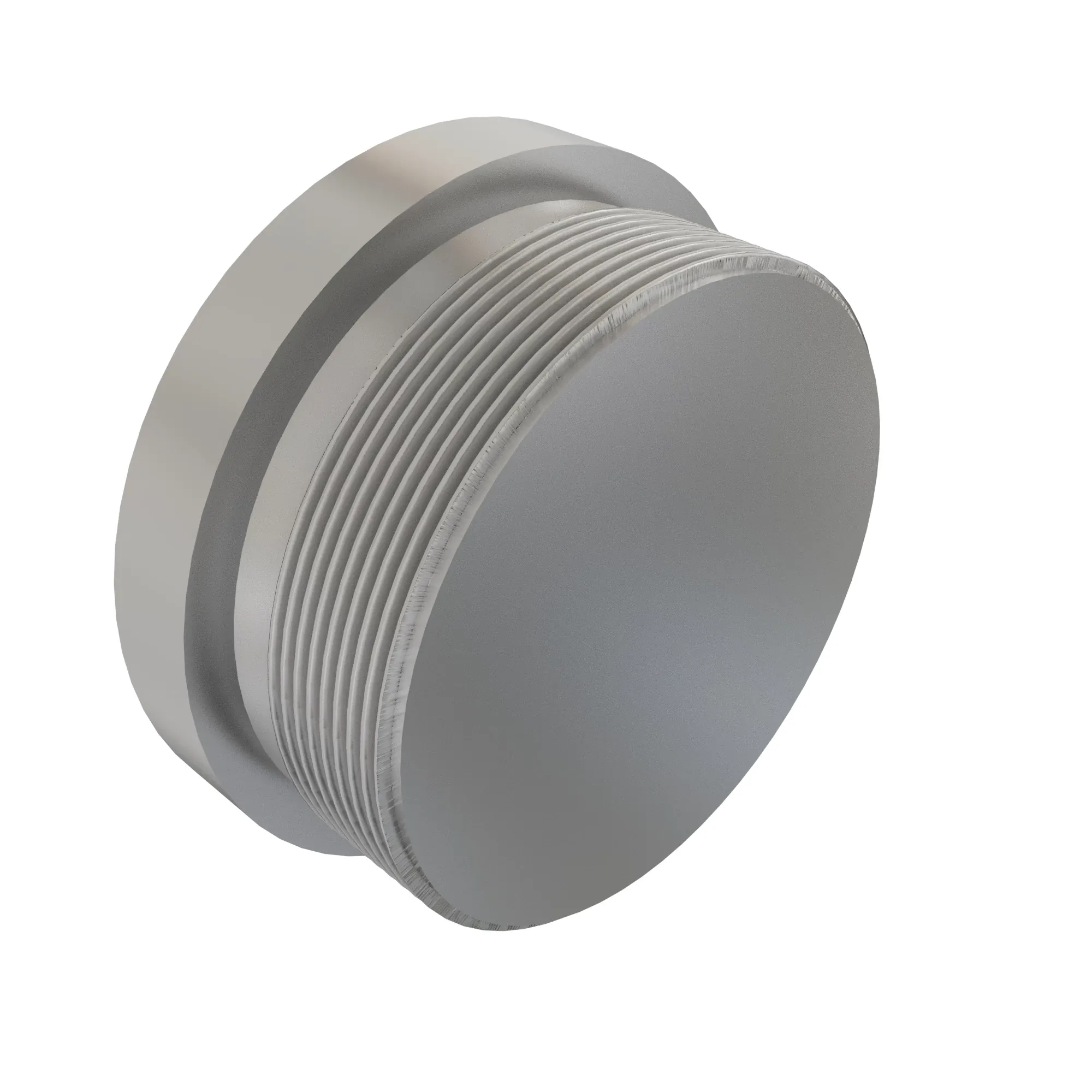 Pipe Plug