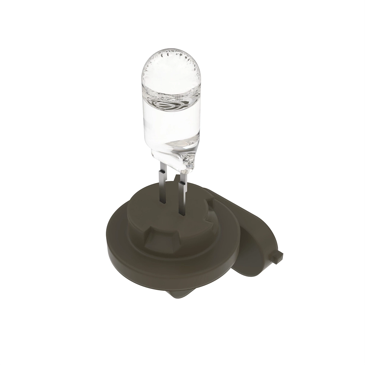 Bulb