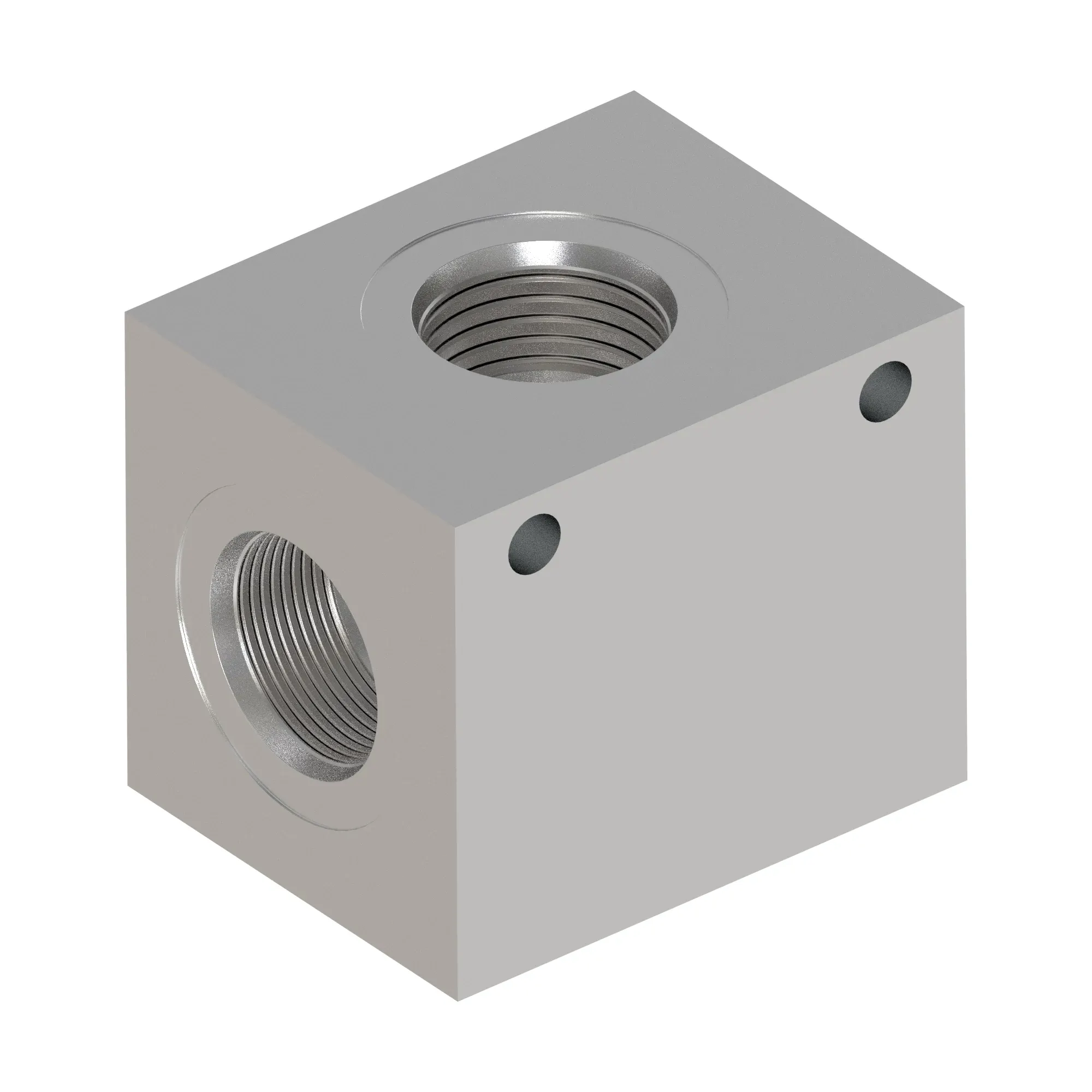 Manifold