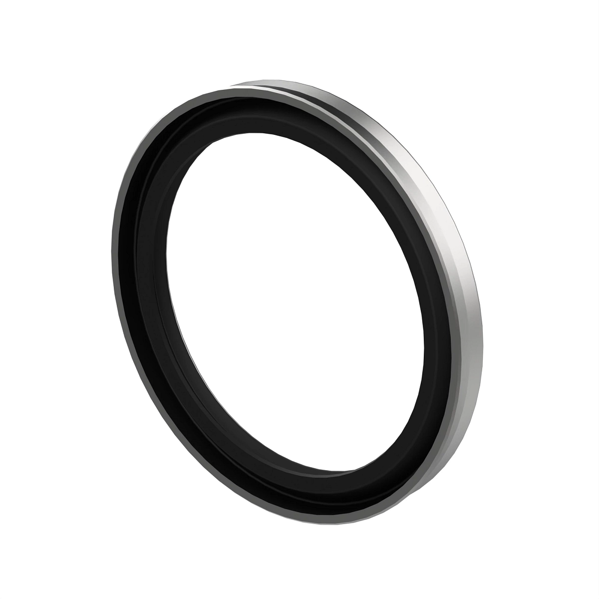 Seal, Internal