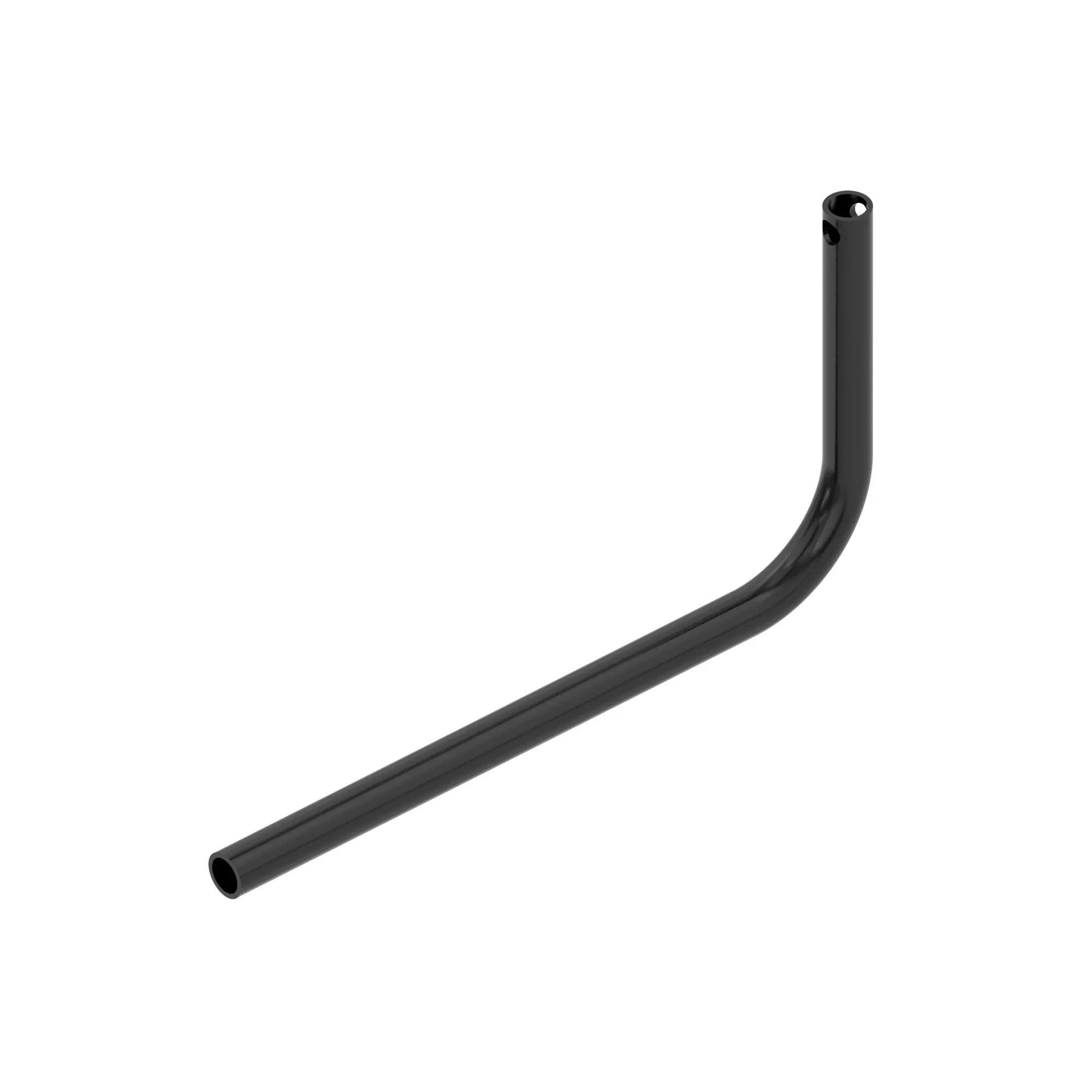 Rib