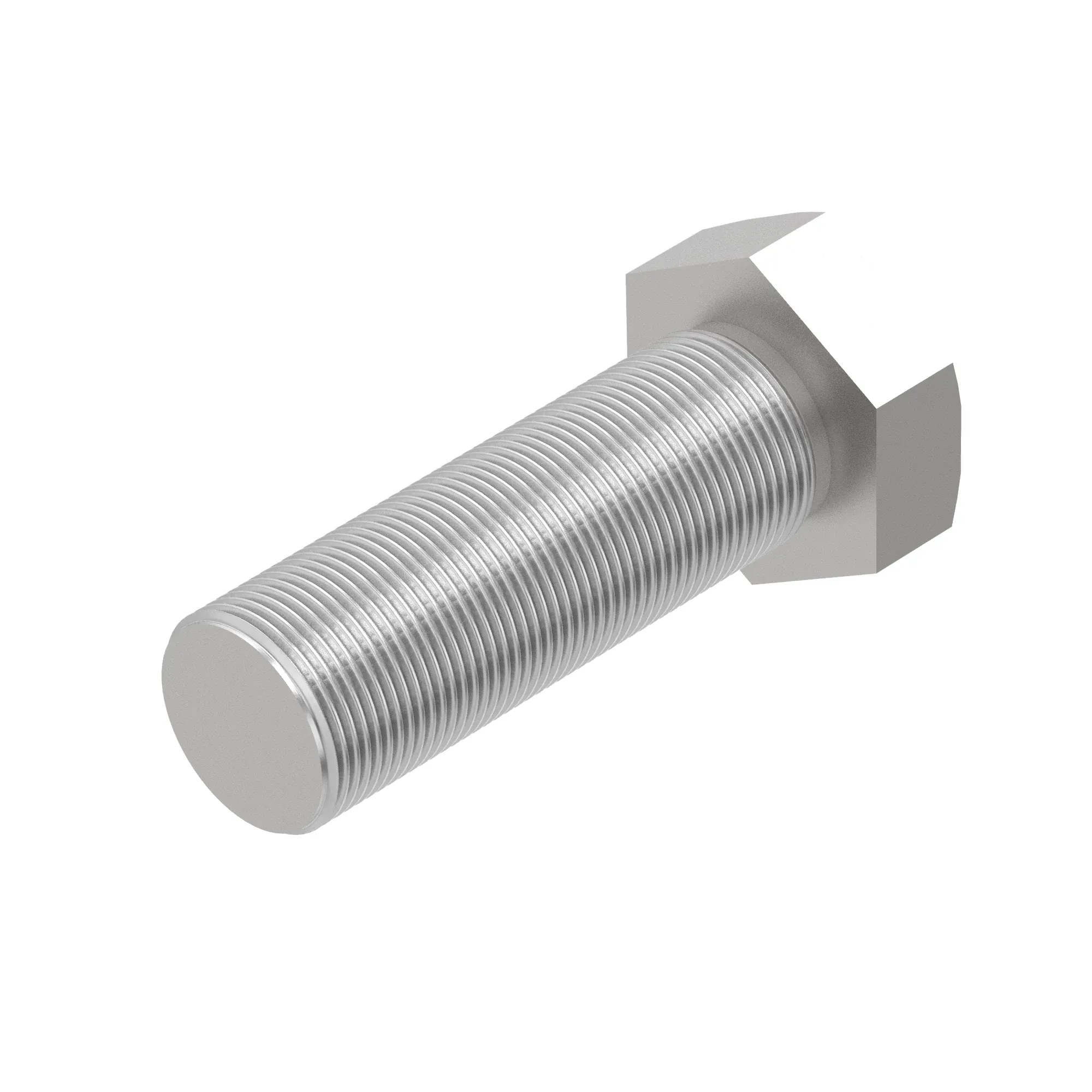 R77868: Hexagonal Head Screw, 7/8