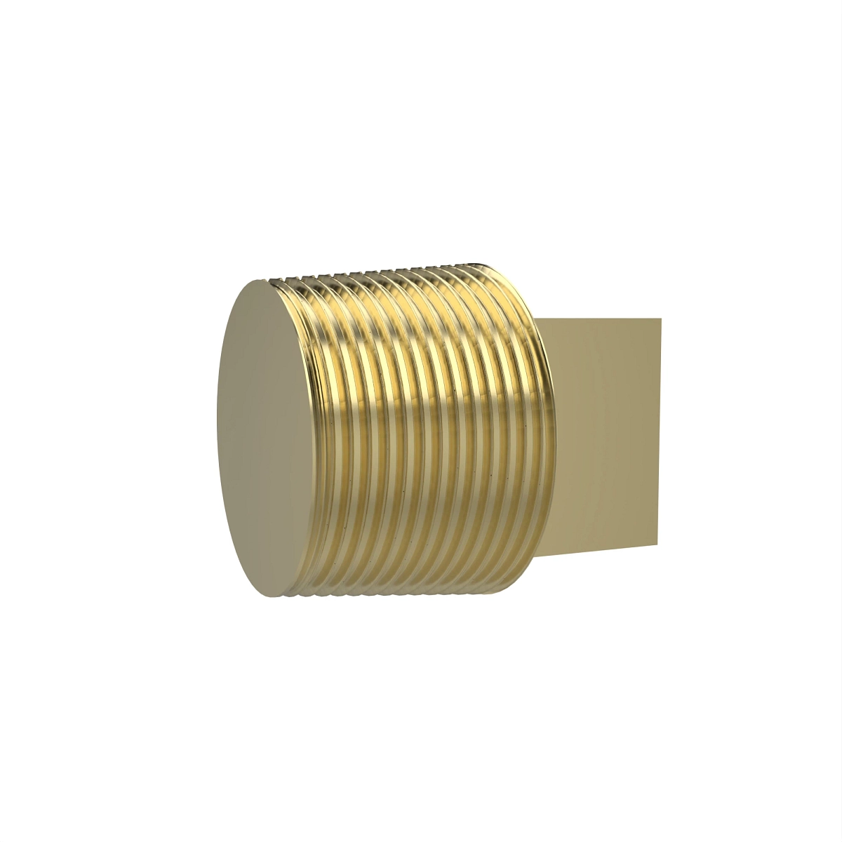 Fitting, Pipe Plug