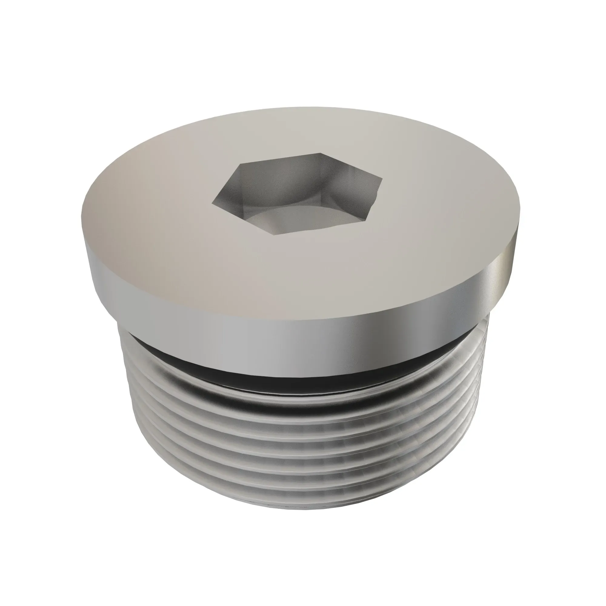Pipe Plug