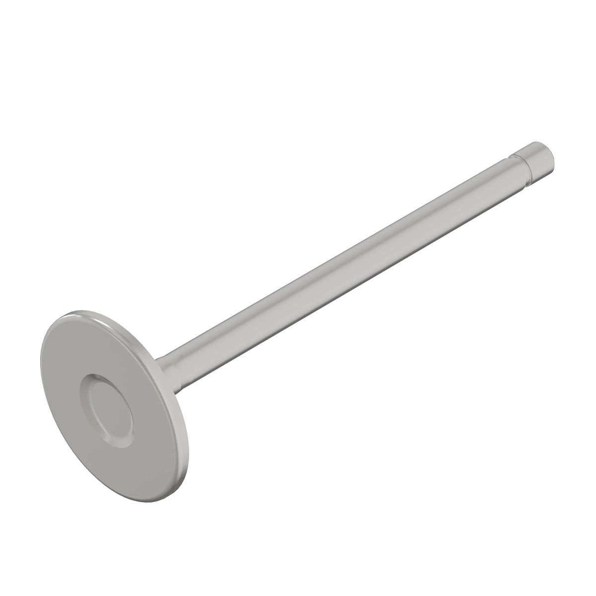 Intake Valve