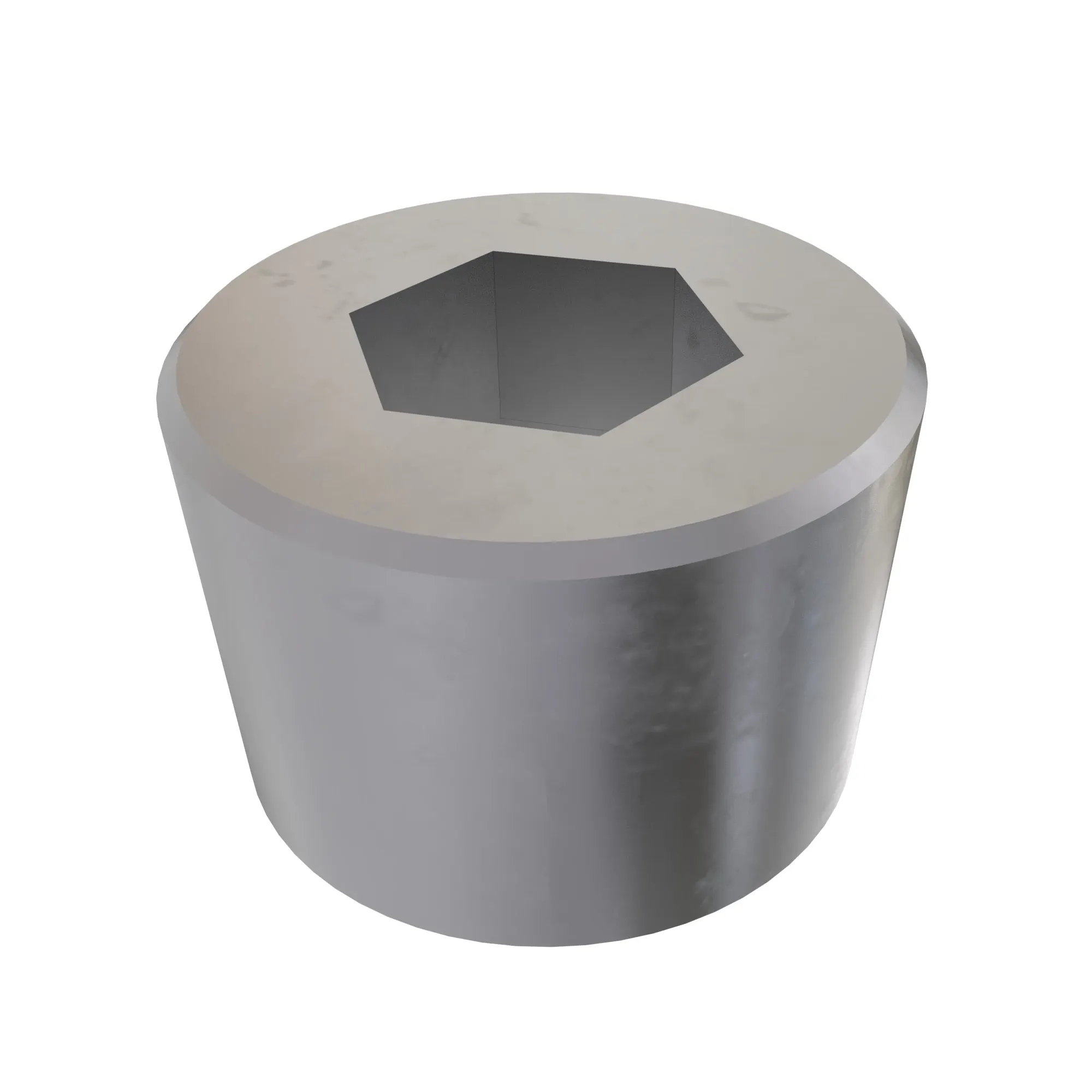 Pipe Plug