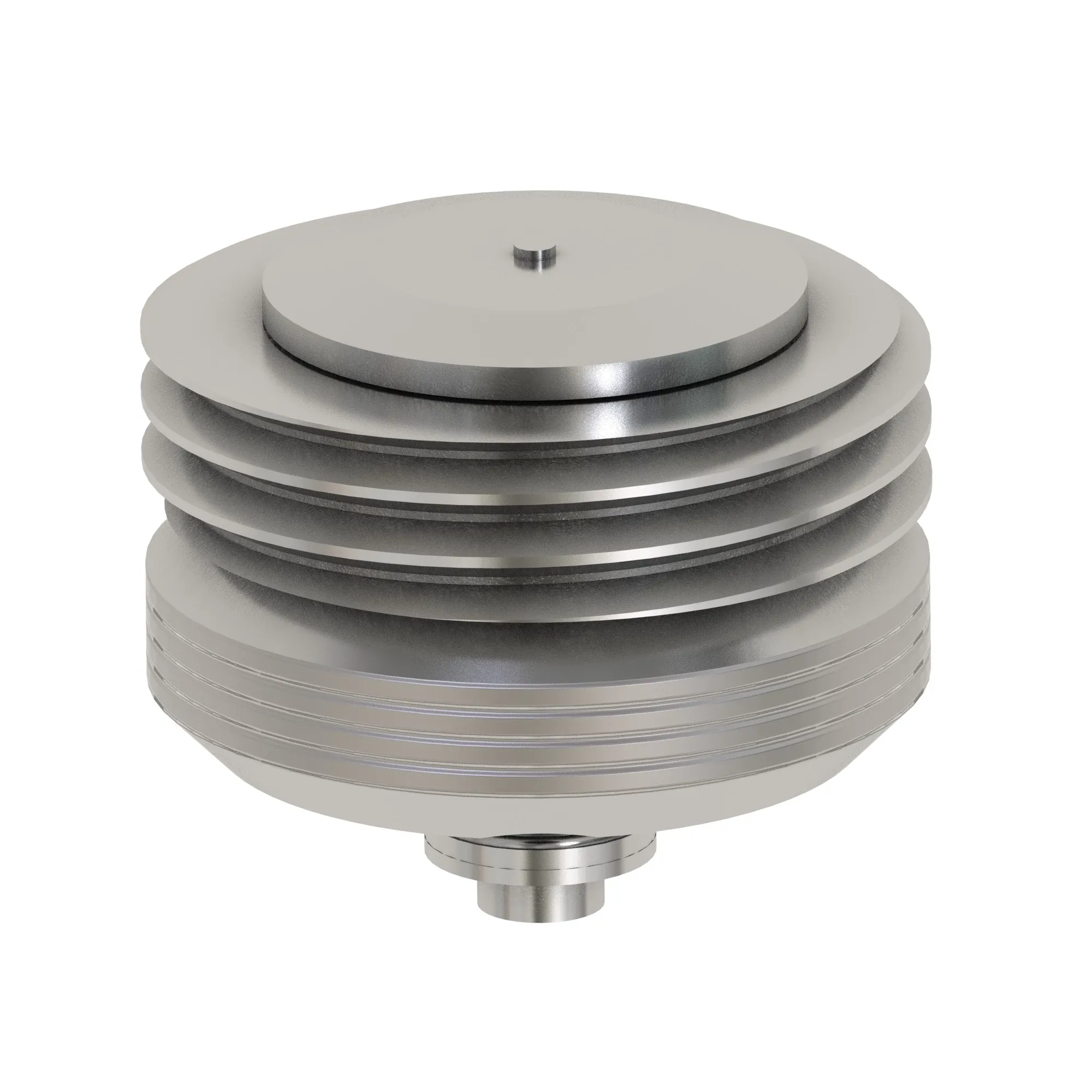 Inlet Check Valve