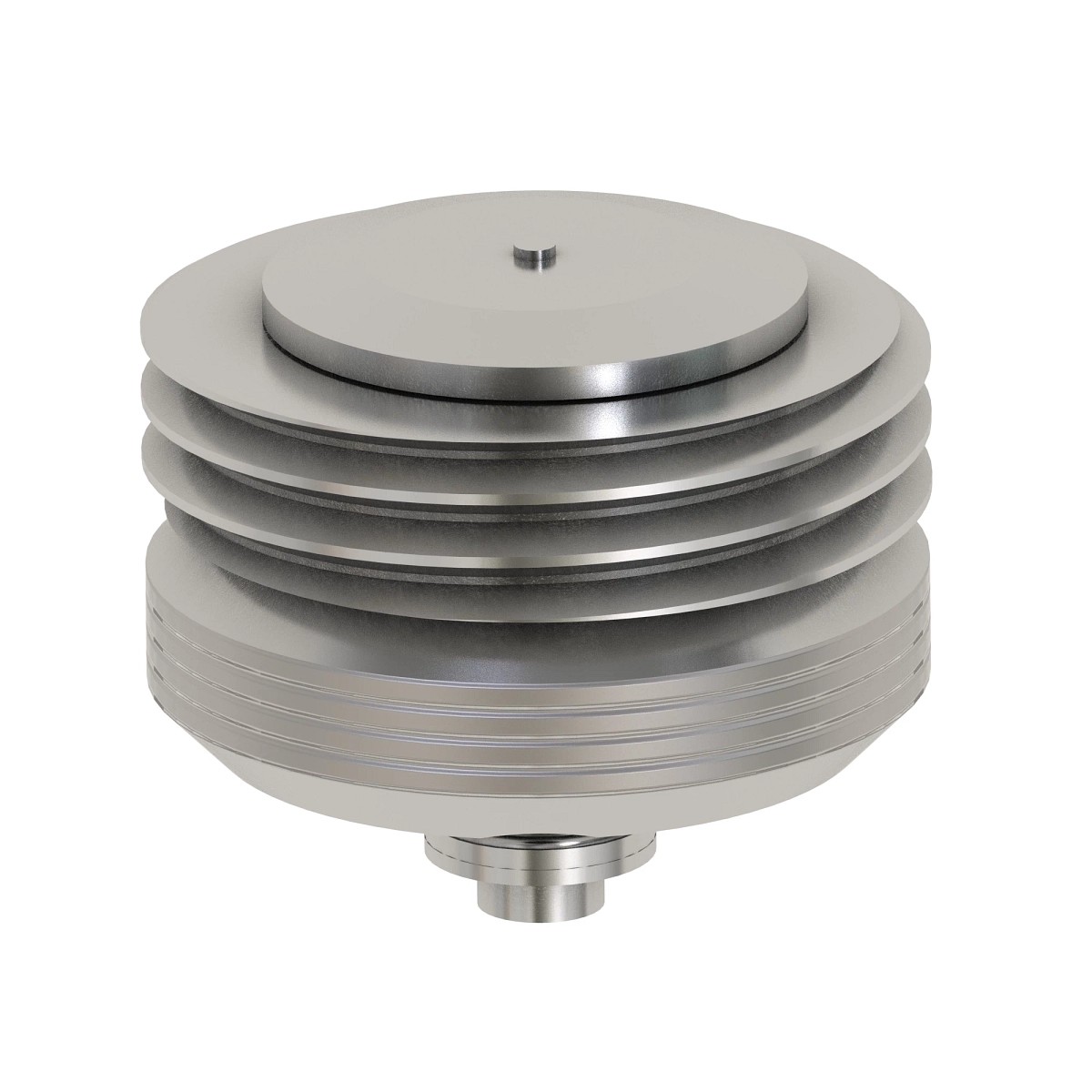 Inlet Check Valve