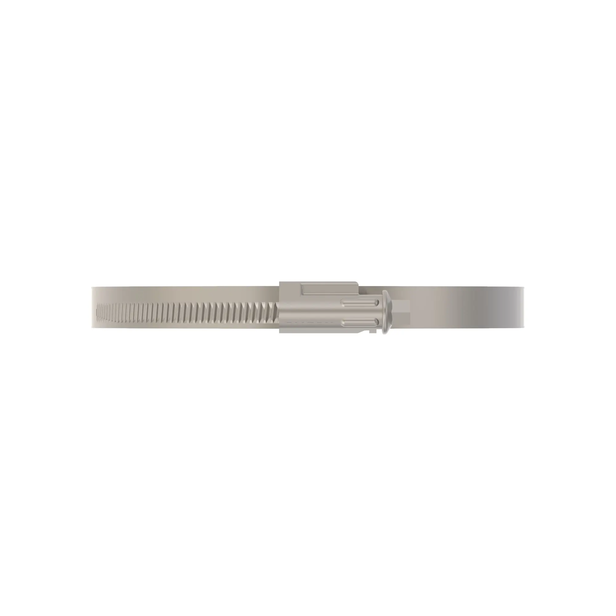 Hose Clamp