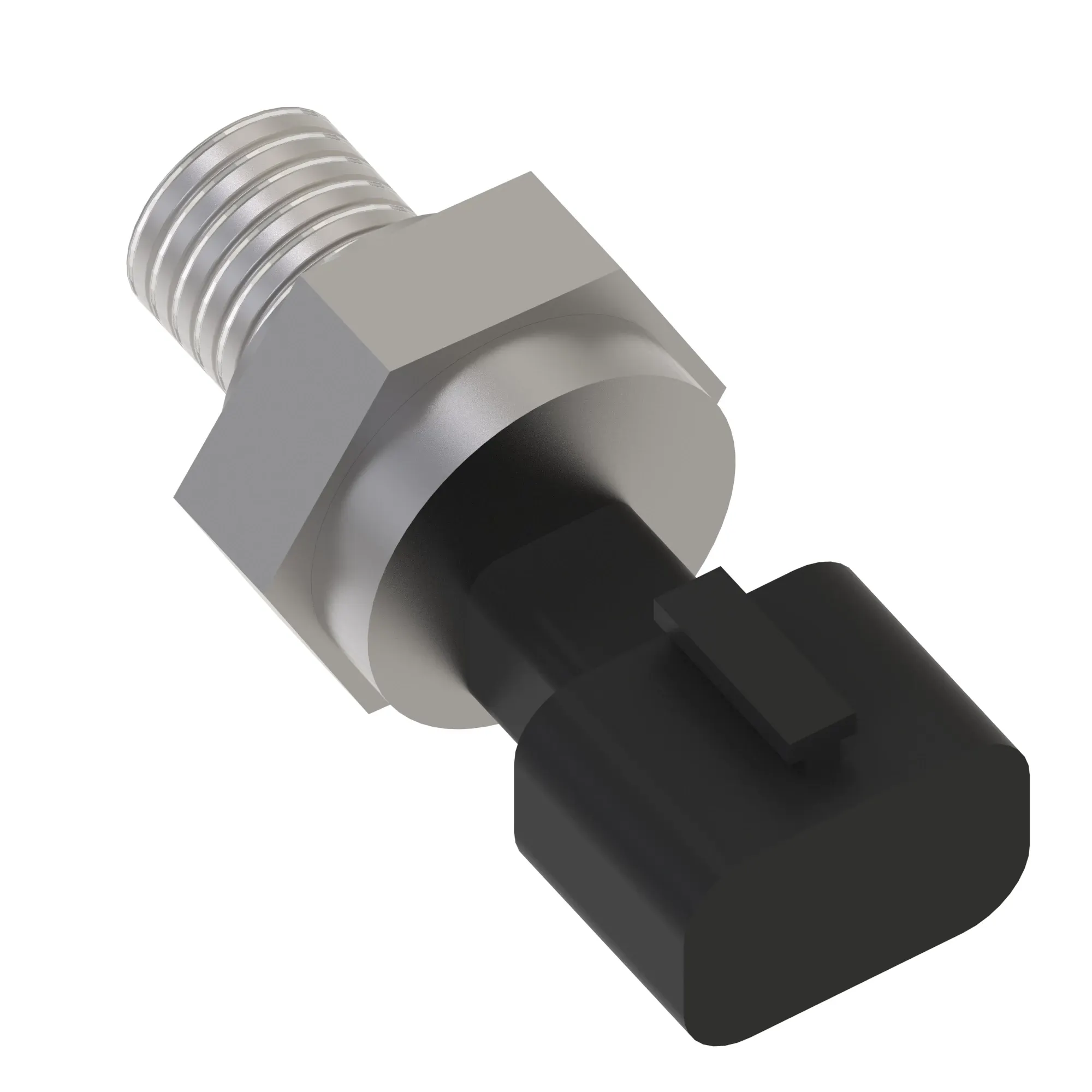 Fitting Plug
