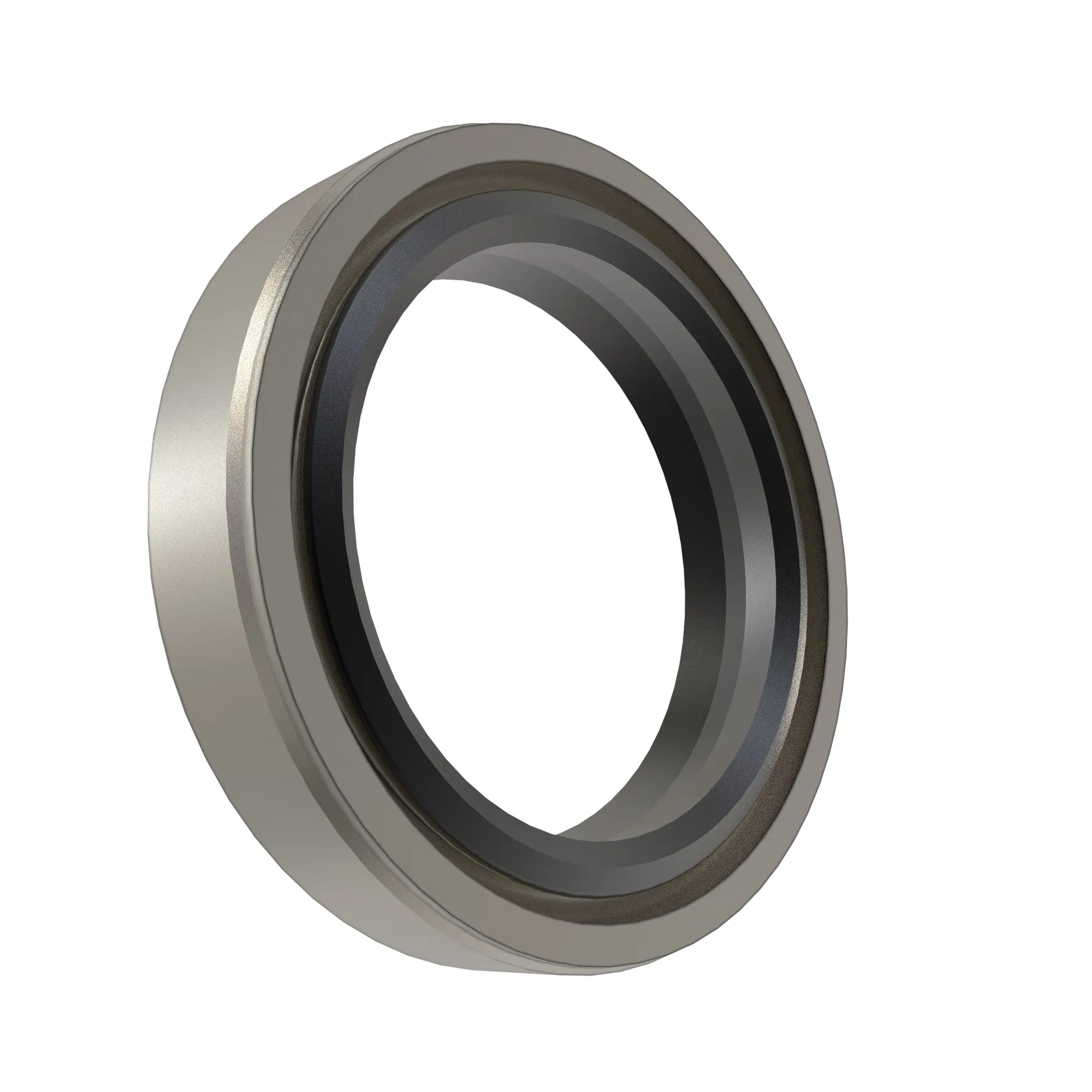 John Deere Internal Oil Seal - DE19810