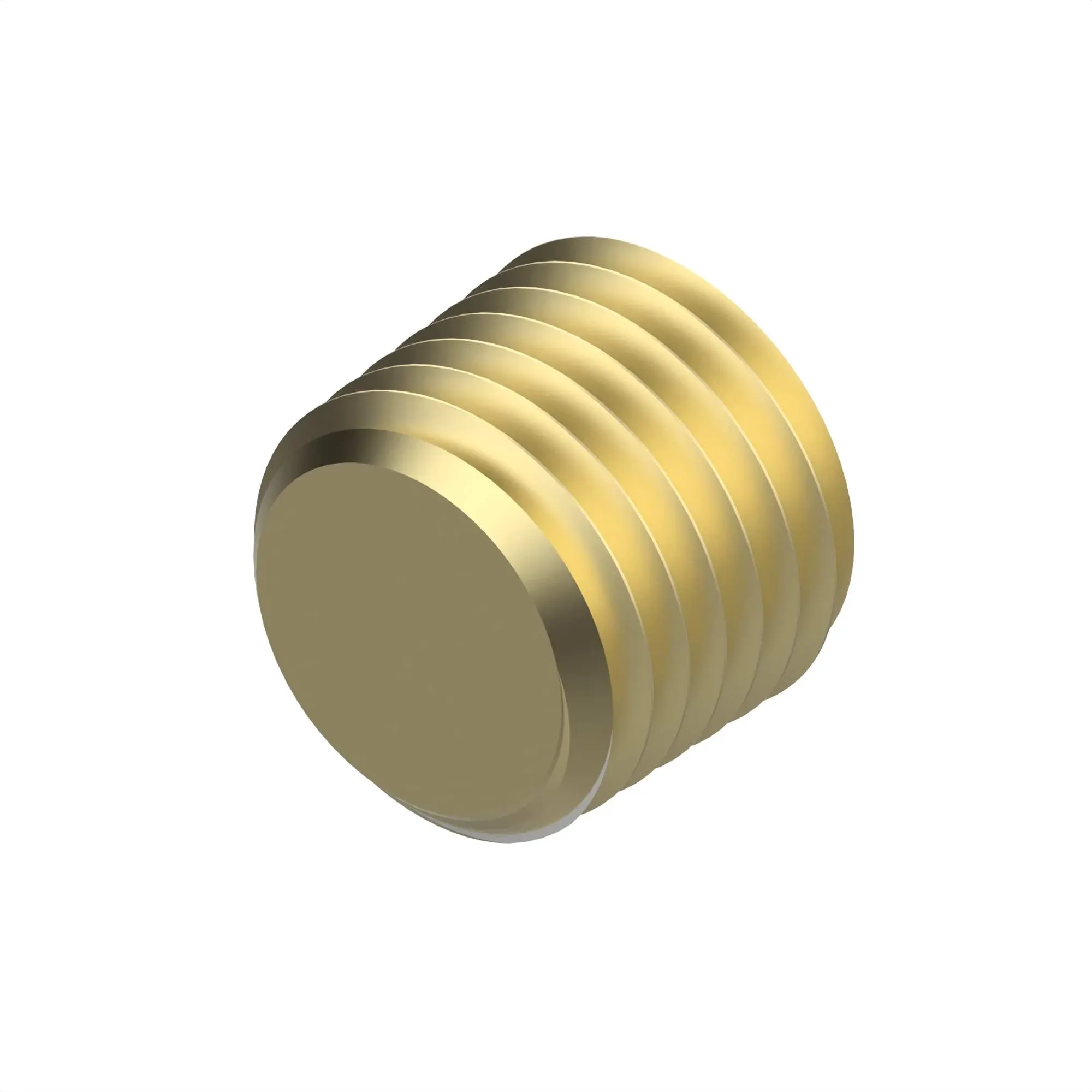 Pipe Plug